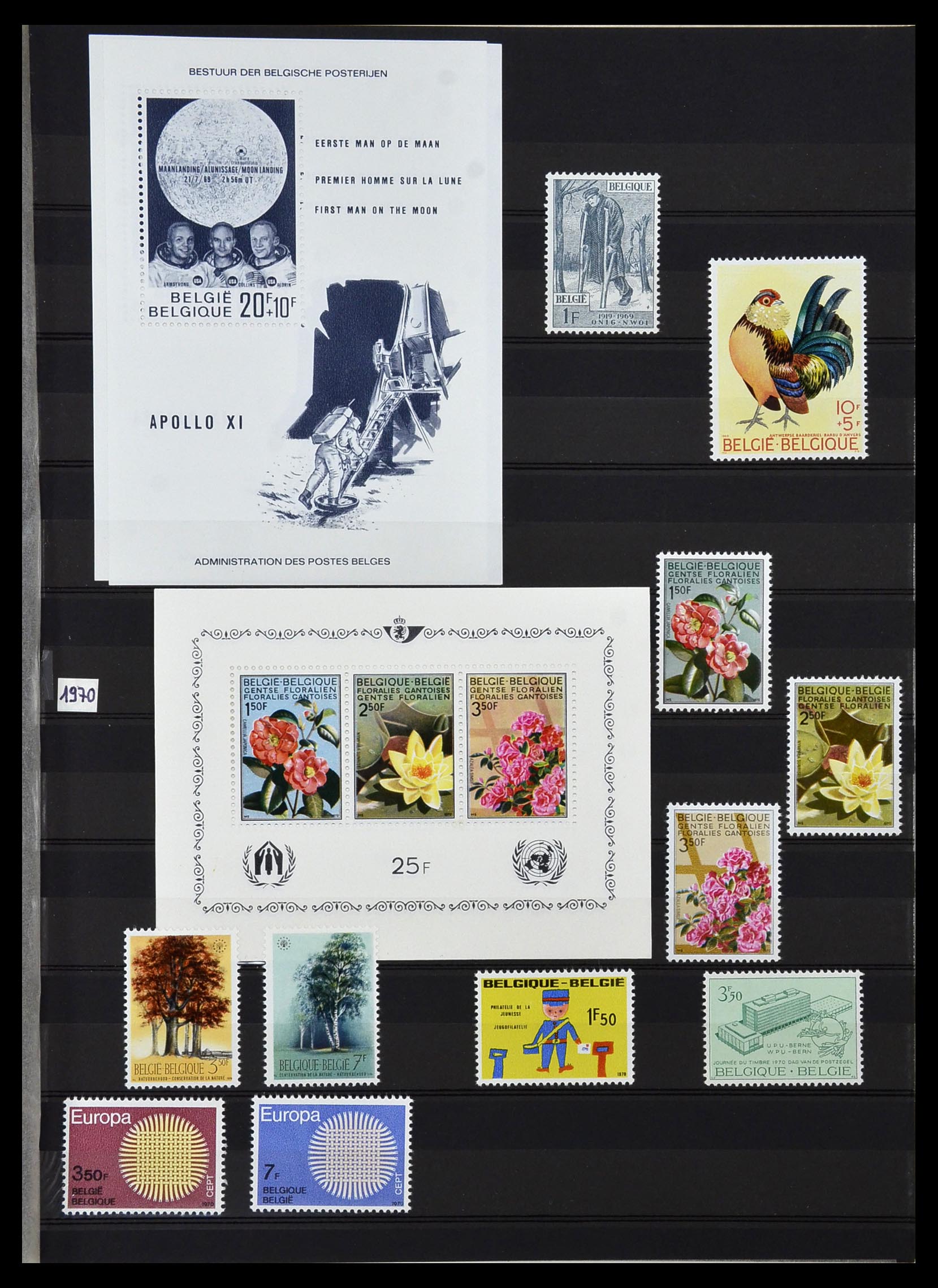 34019 007 - Stamp collection 34019 Belgium 1960-2004.