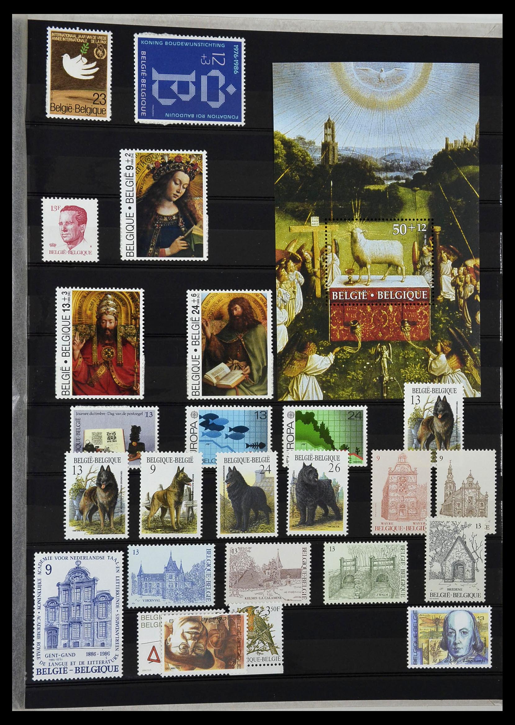 34019 029 - Stamp collection 34019 Belgium 1960-2004.