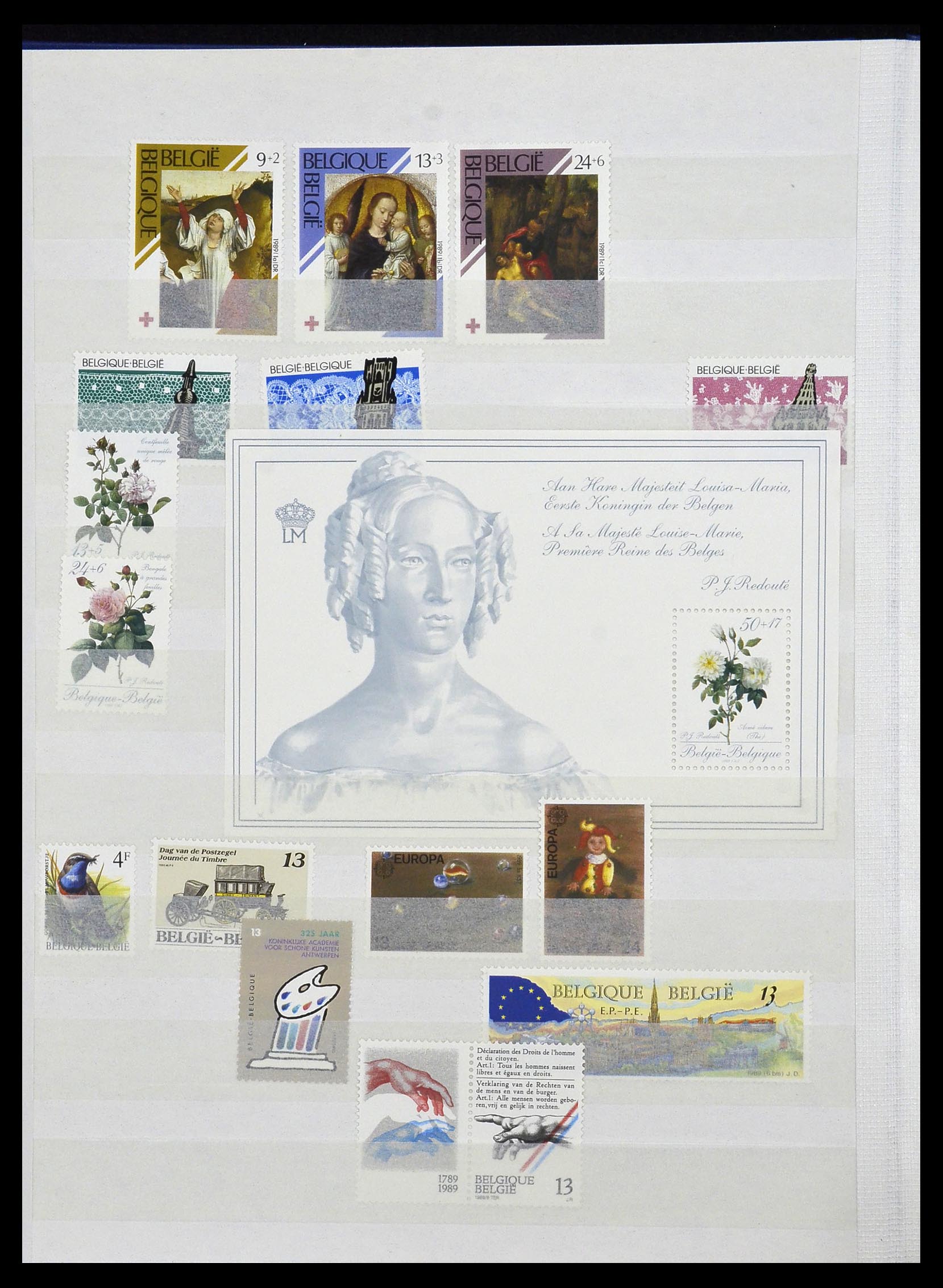 34019 051 - Postzegelverzameling 34019 België 1960-2004.