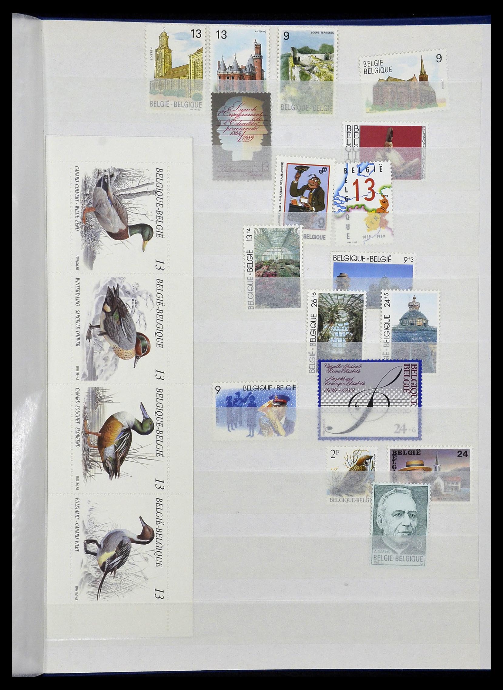 34019 052 - Stamp collection 34019 Belgium 1960-2004.