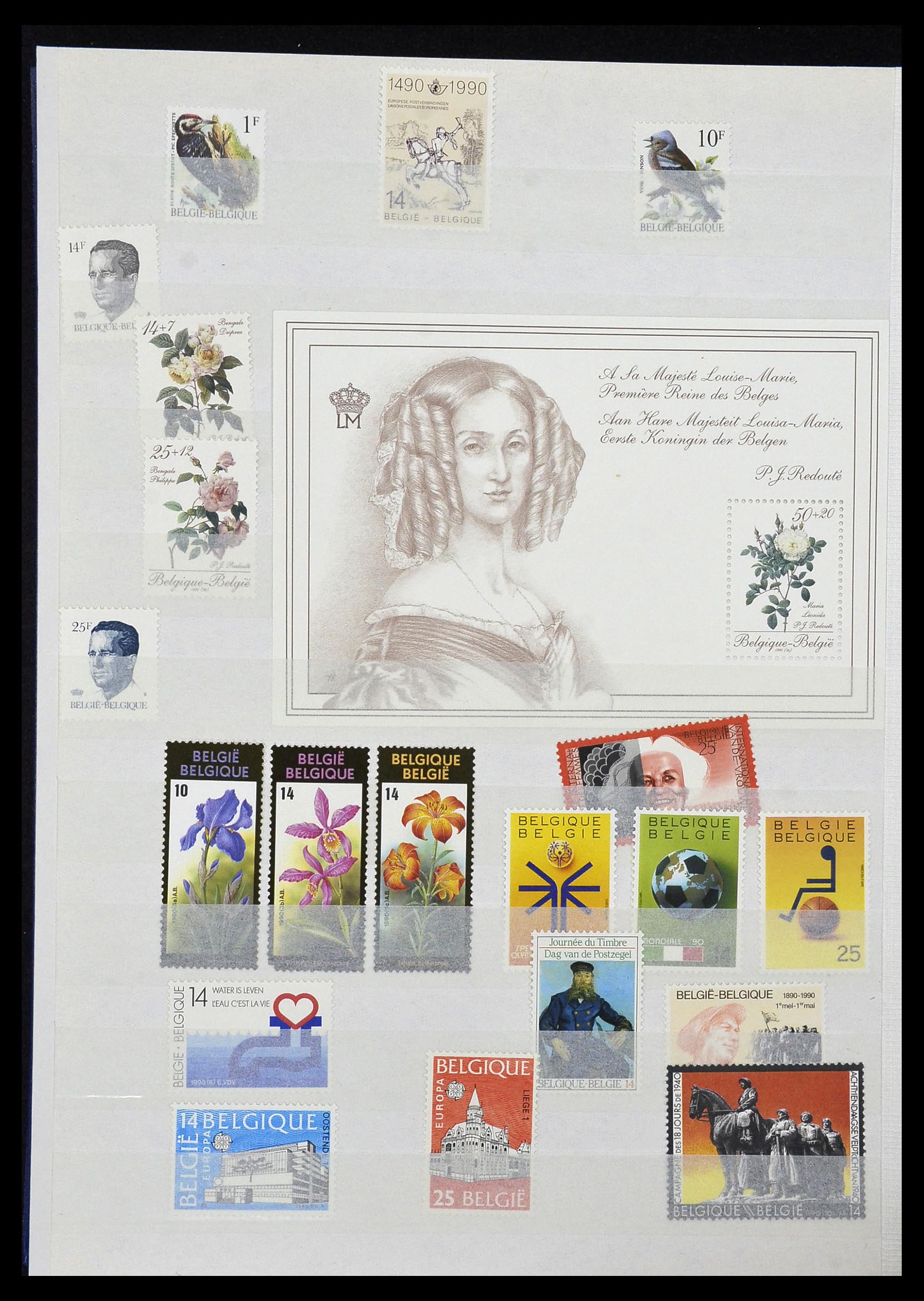 34019 053 - Stamp collection 34019 Belgium 1960-2004.
