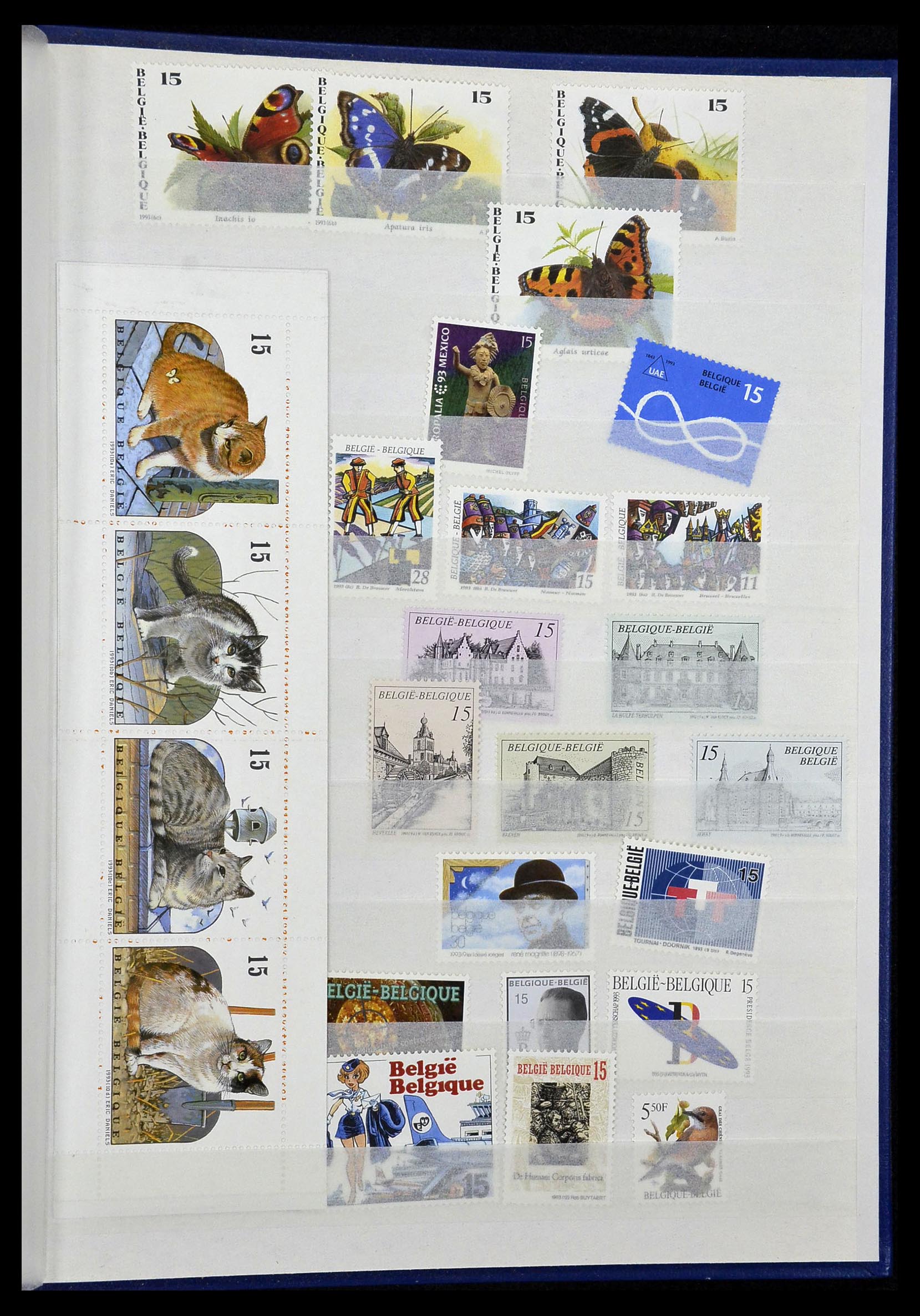 34019 061 - Postzegelverzameling 34019 België 1960-2004.