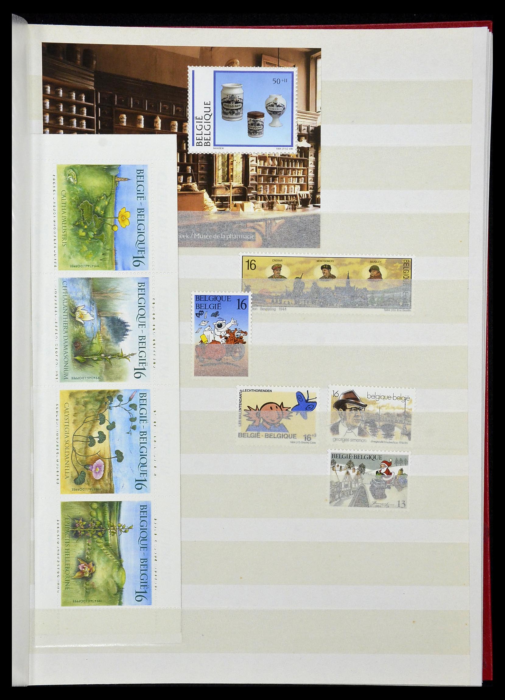 34019 064 - Stamp collection 34019 Belgium 1960-2004.