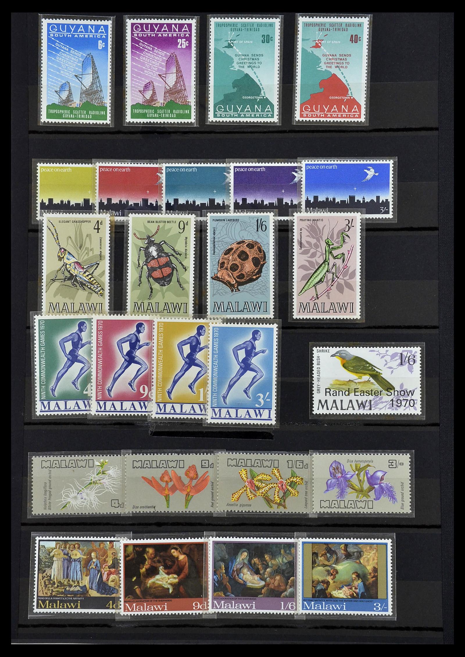 34043 034 - Stamp collection 34043 British Commonwealth 1953-1980.
