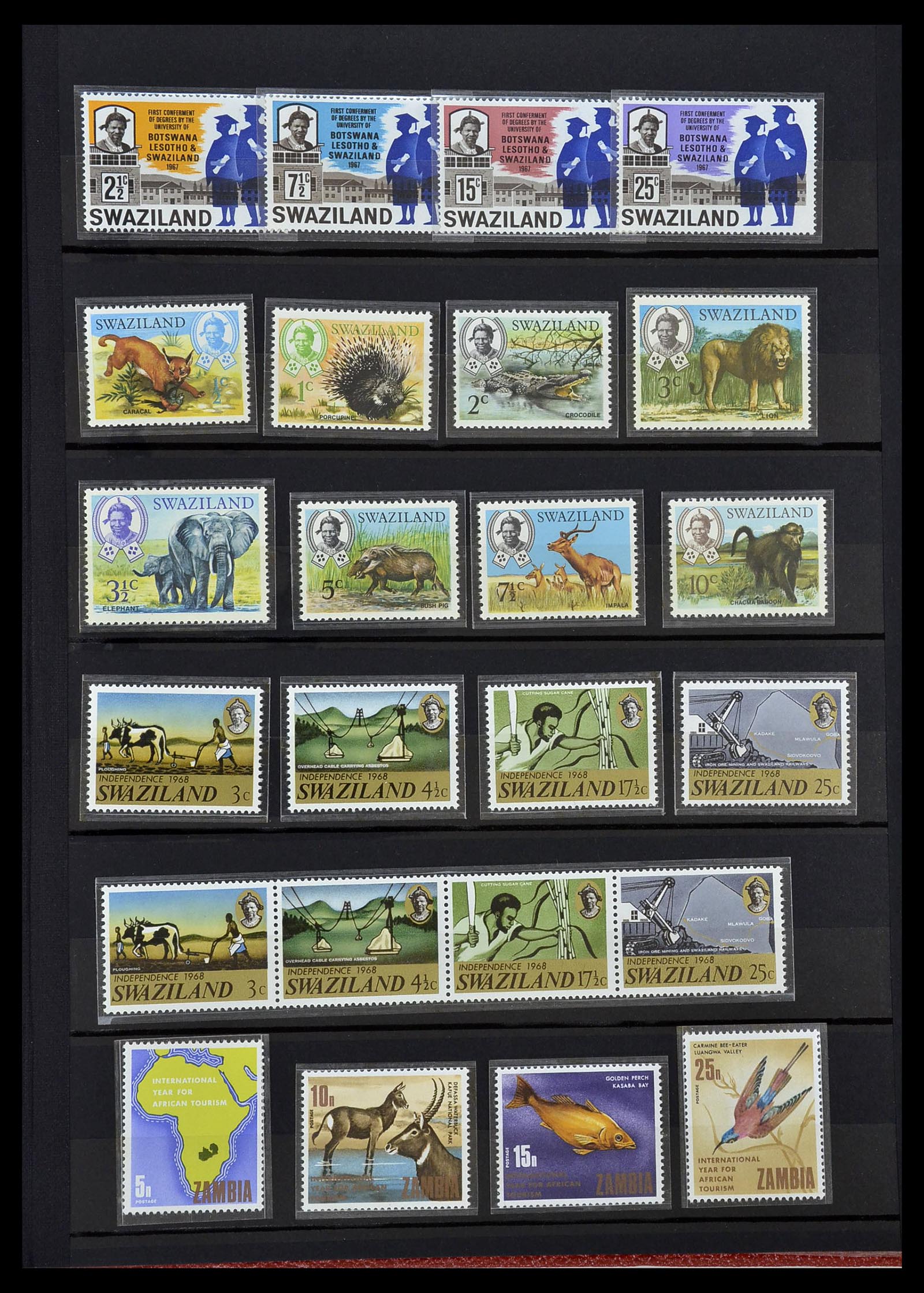 34043 043 - Stamp collection 34043 British Commonwealth 1953-1980.