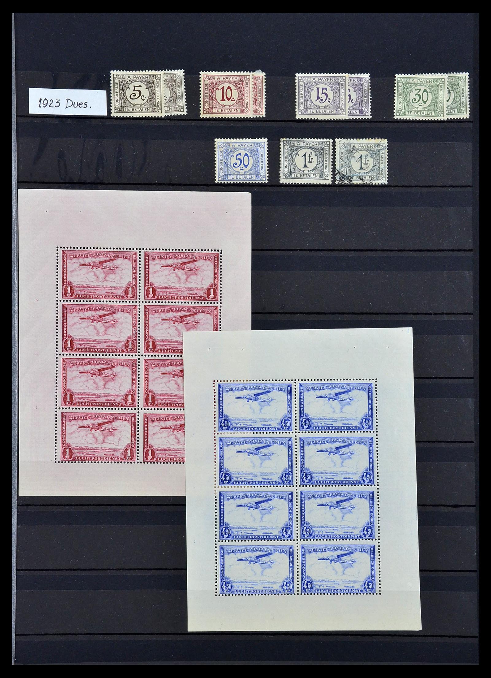 34067 011 - Postzegelverzameling 34067 Belgisch Congo 1885-1935.