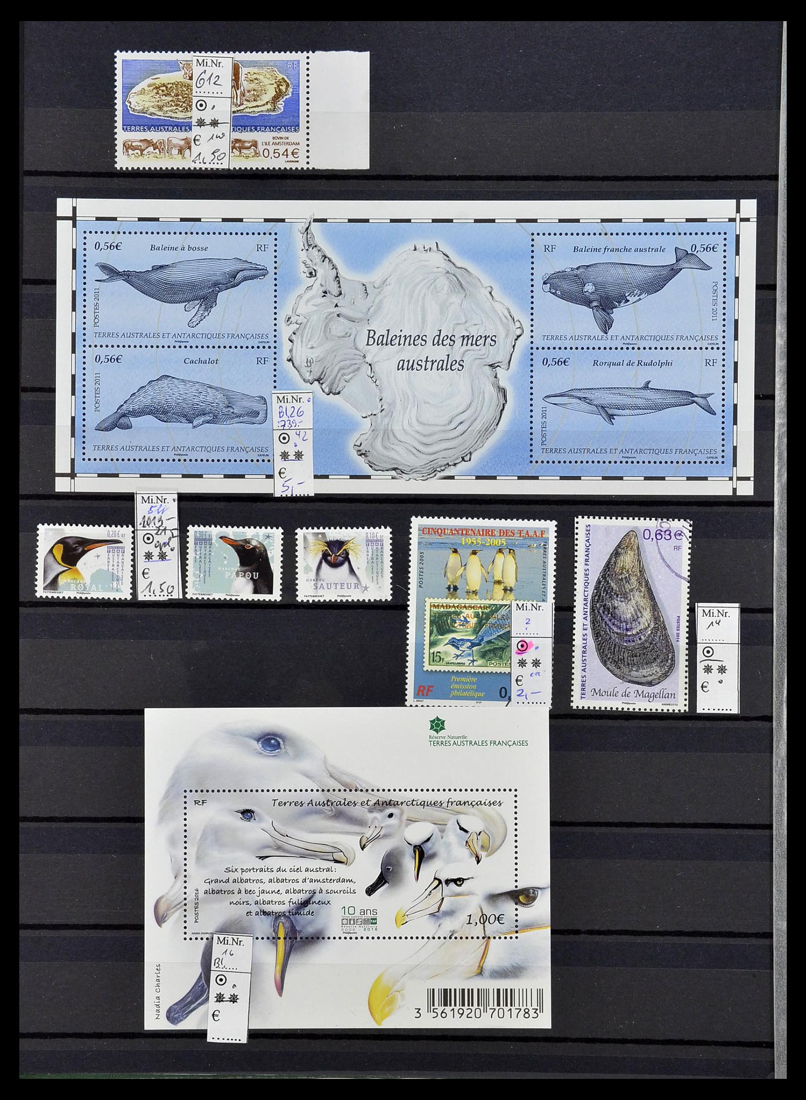 34068 030 - Postzegelverzameling 34068 Frans Antarctica 1955-2016.