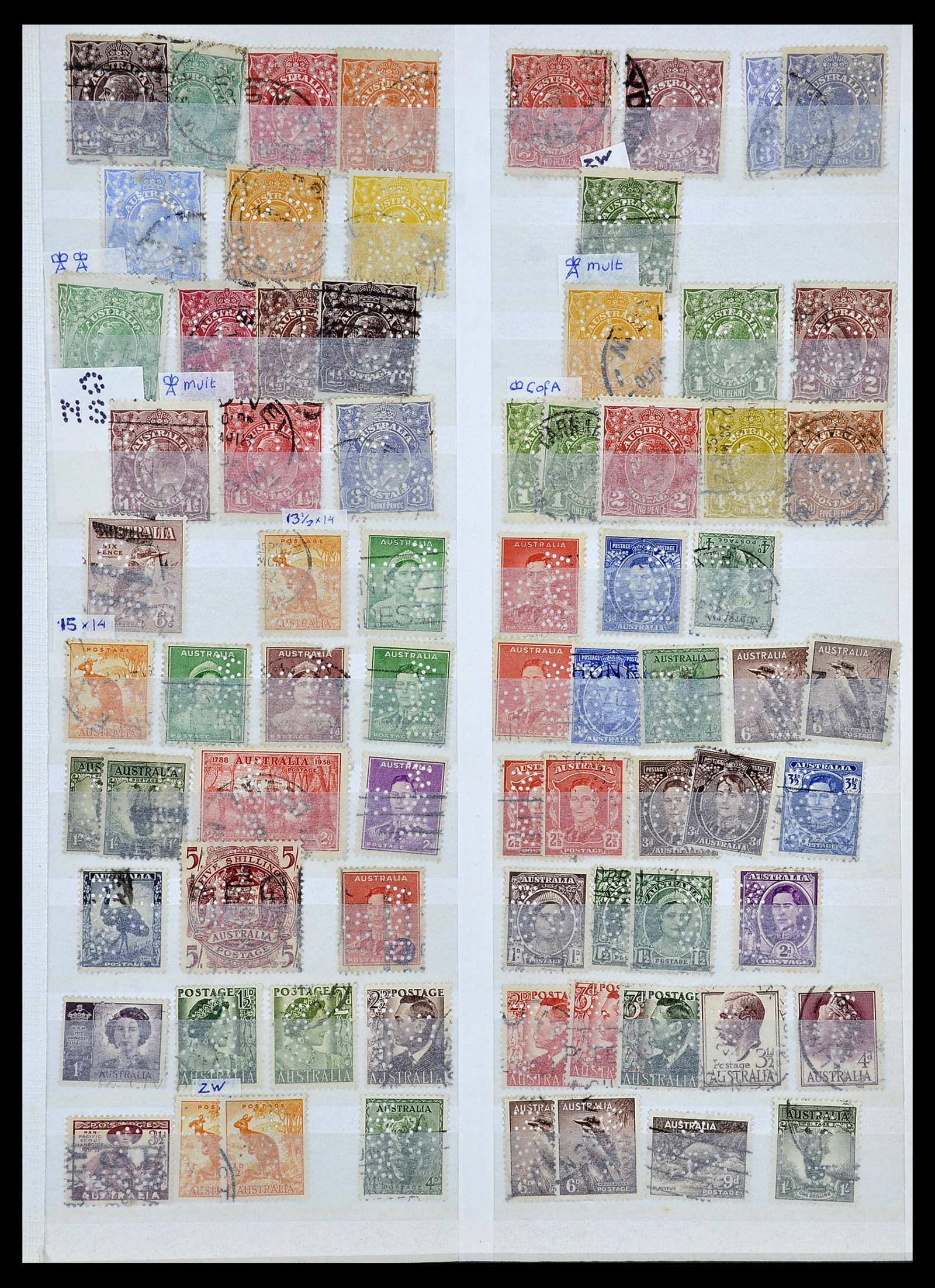 34095 014 - Postzegelverzameling 34095 Australië en Staten dienstzegels 1901-1933