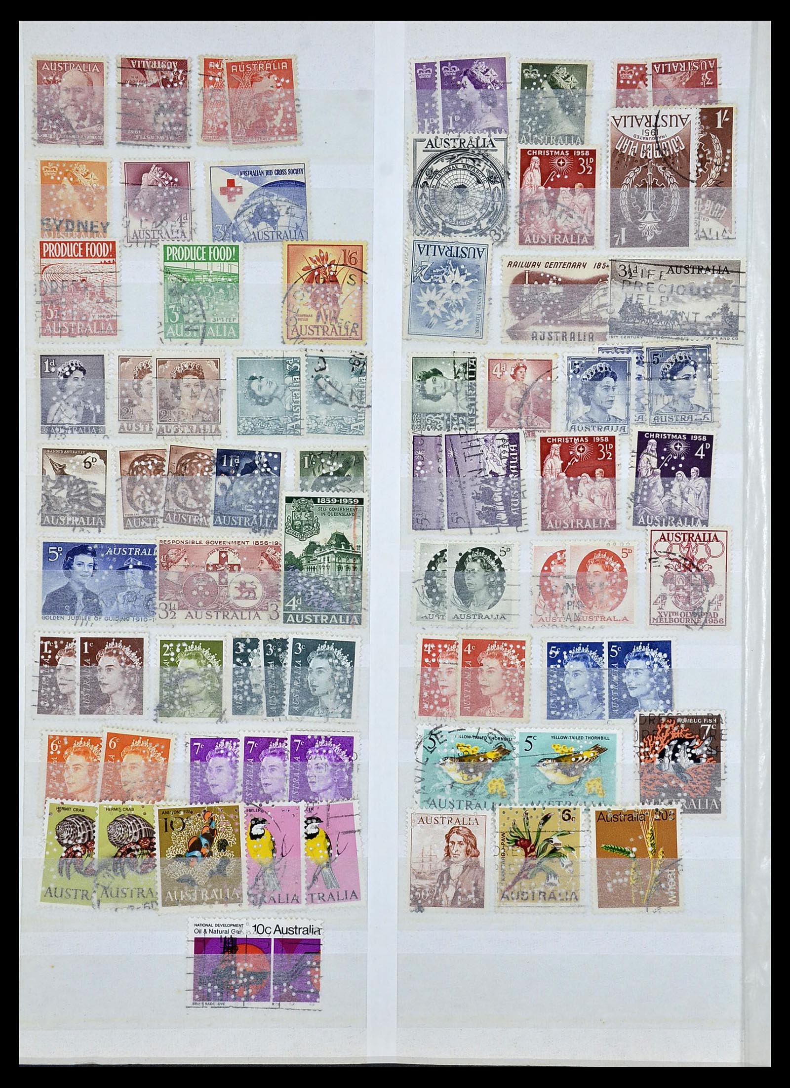 34095 015 - Postzegelverzameling 34095 Australië en Staten dienstzegels 1901-1933