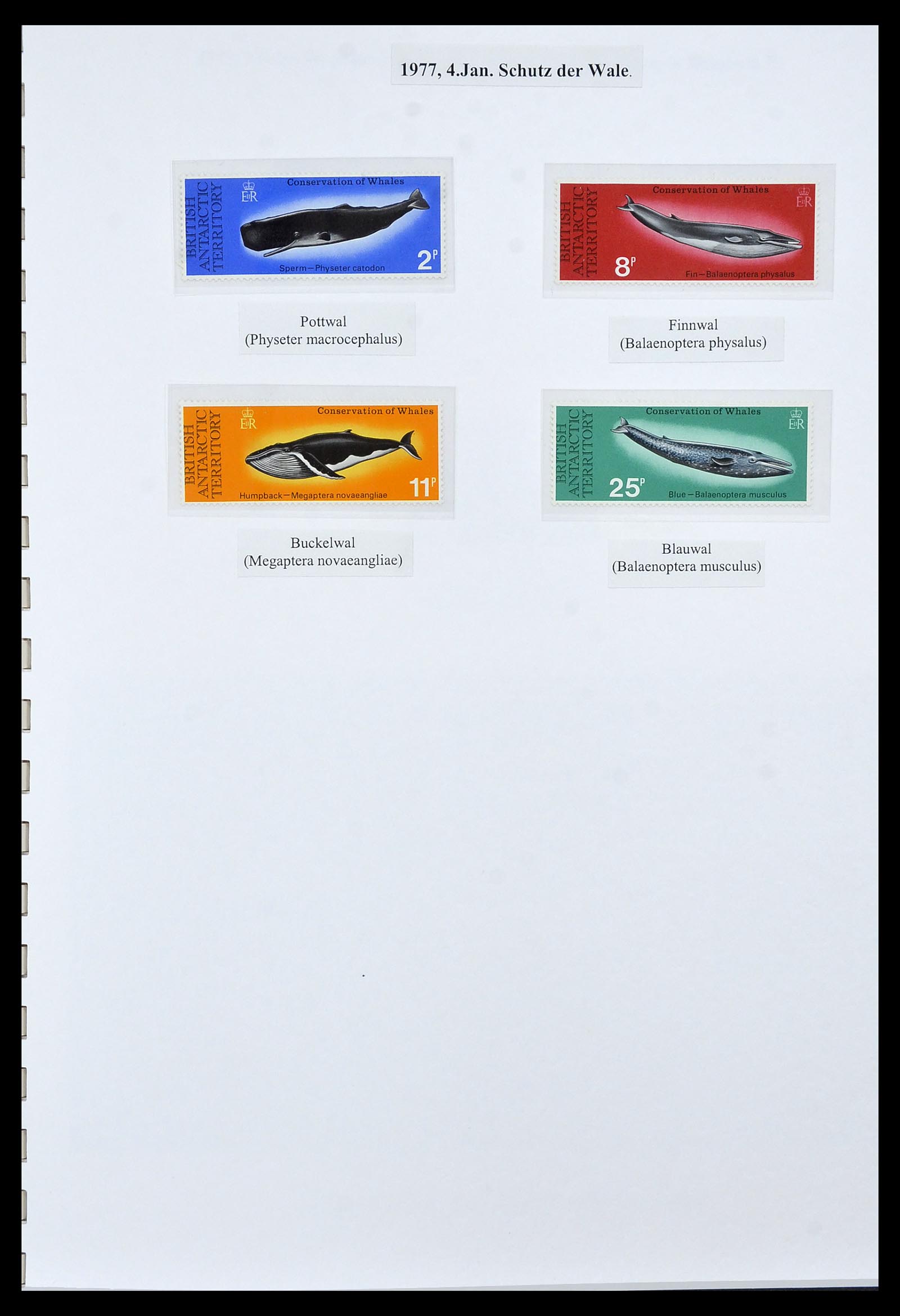 34105 030 - Stamp collection 34105 British Antarctica 1963-1993.