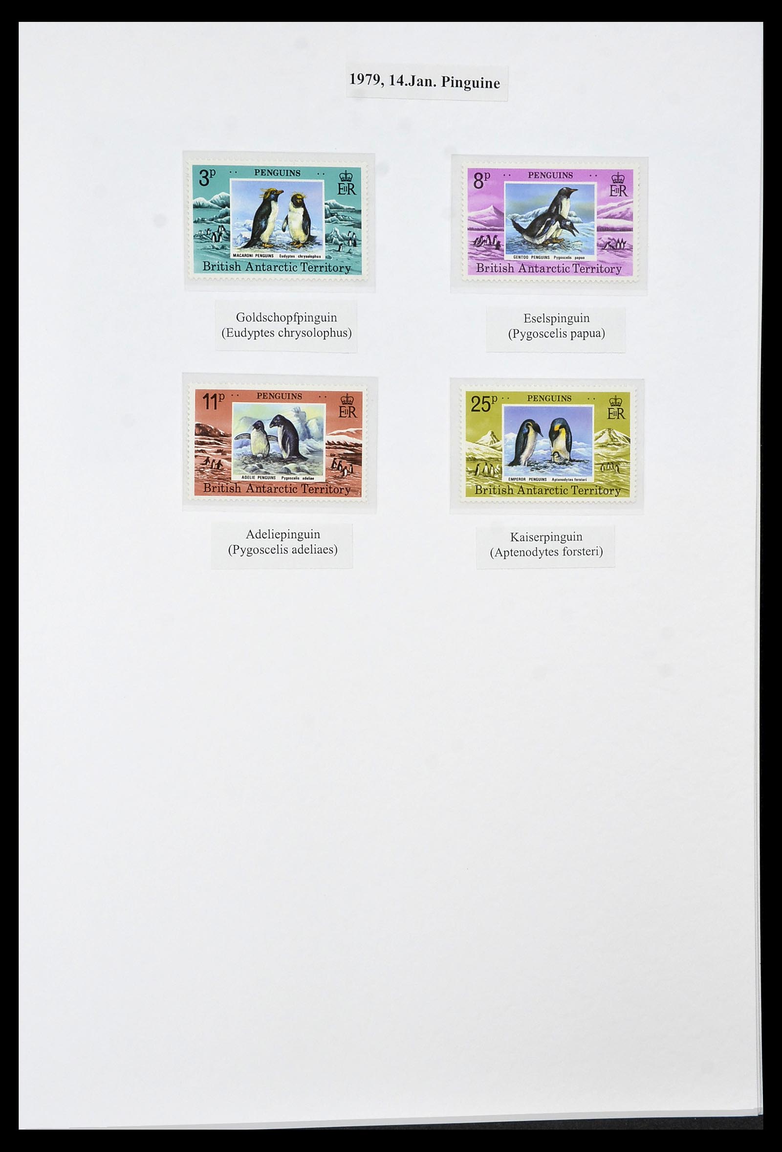 34105 043 - Stamp collection 34105 British Antarctica 1963-1993.