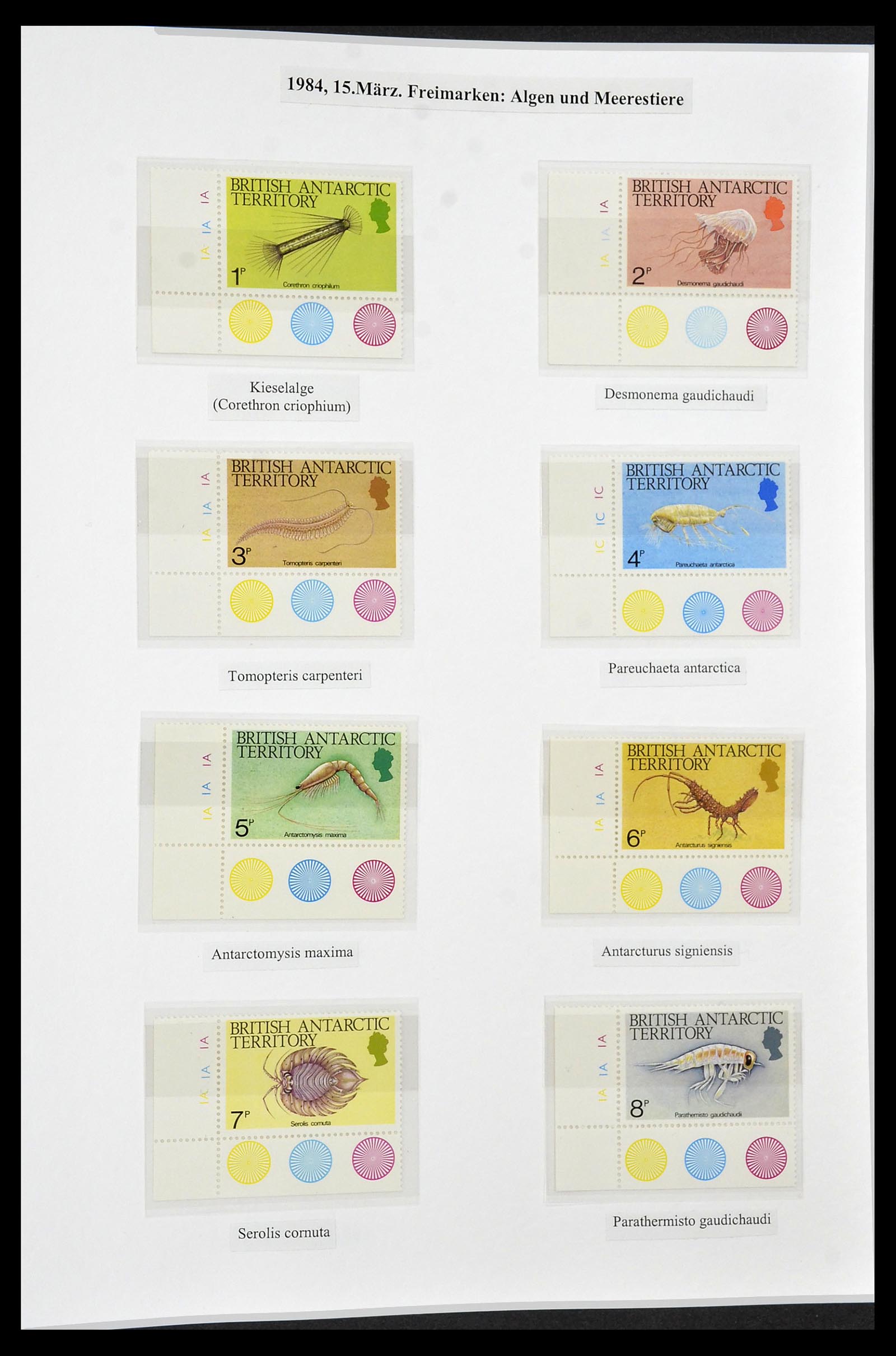 34105 064 - Stamp collection 34105 British Antarctica 1963-1993.