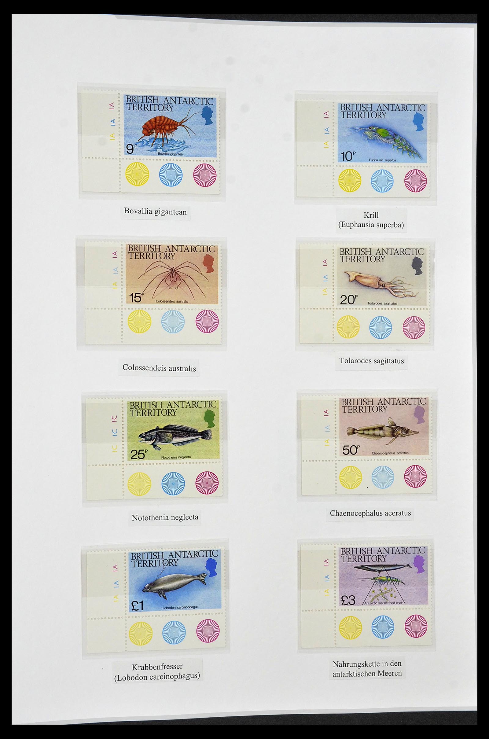 34105 065 - Stamp collection 34105 British Antarctica 1963-1993.