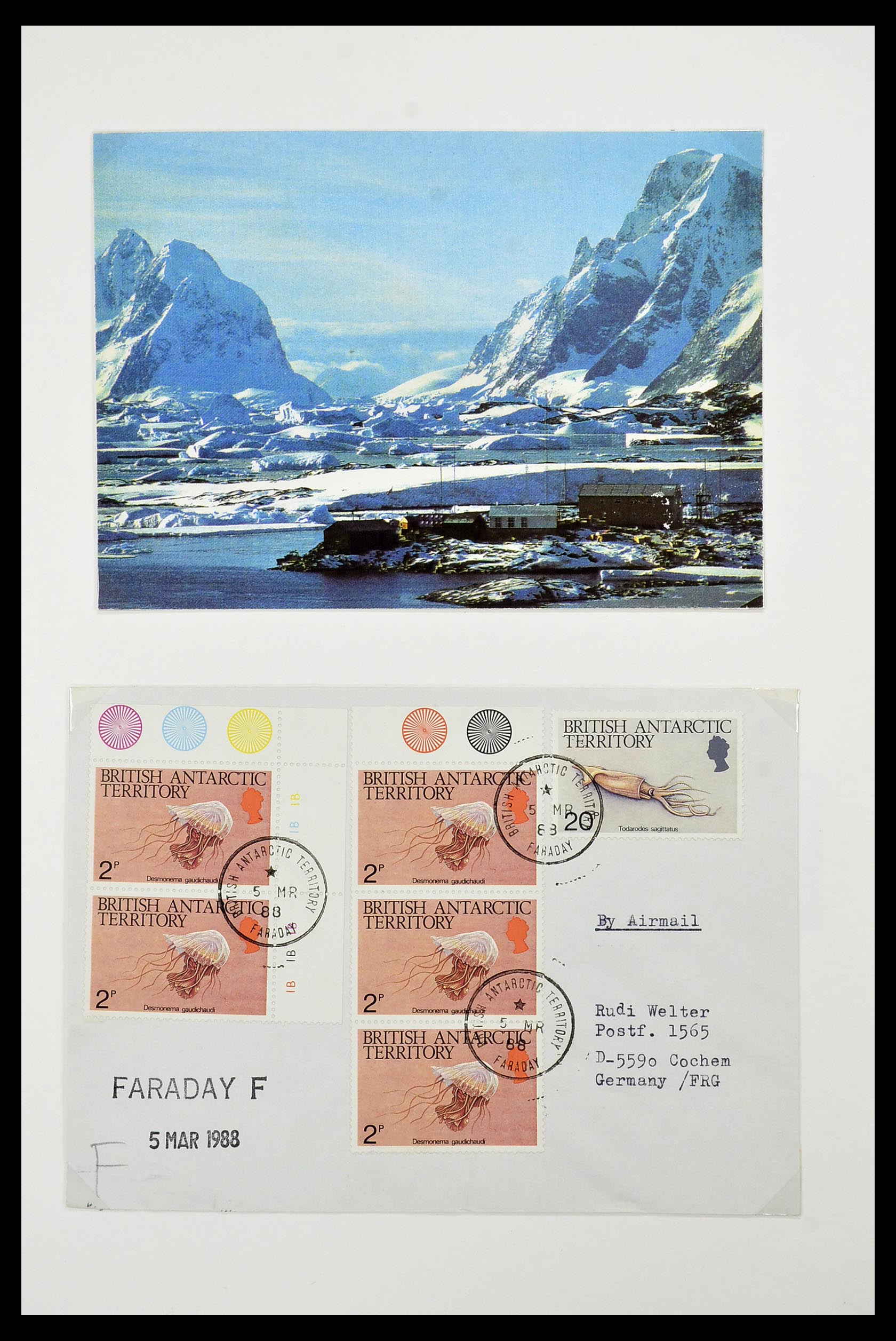 34105 092 - Stamp collection 34105 British Antarctica 1963-1993.