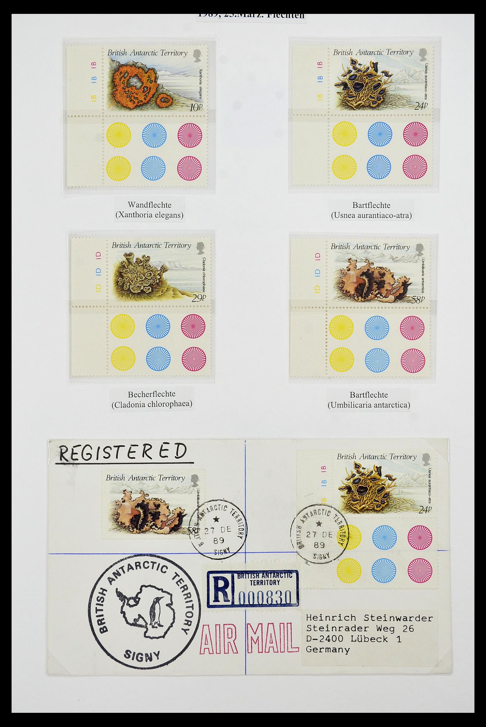 34105 094 - Stamp collection 34105 British Antarctica 1963-1993.