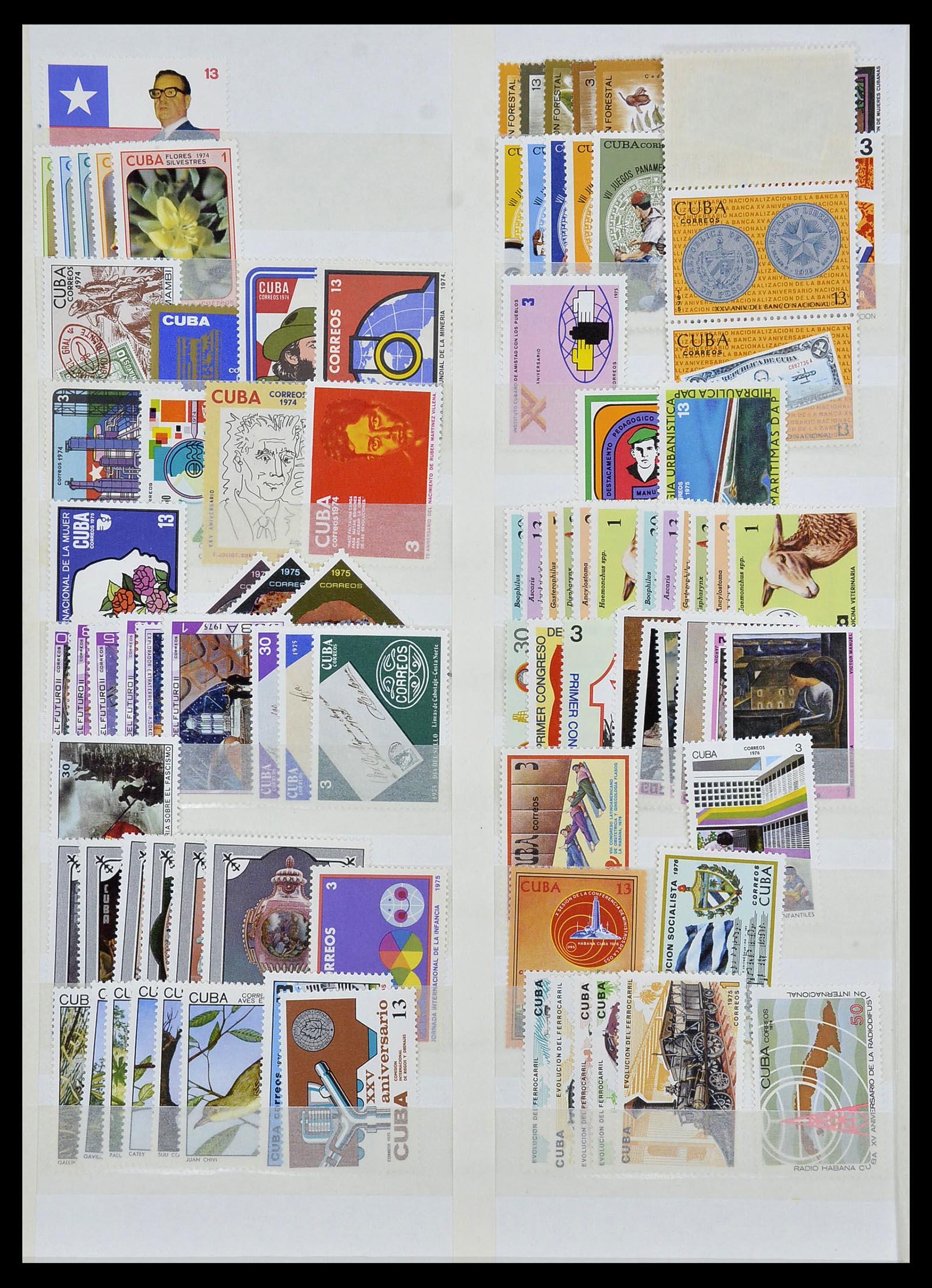 34136 006 - Postzegelverzameling 34136 Zuid Amerika.