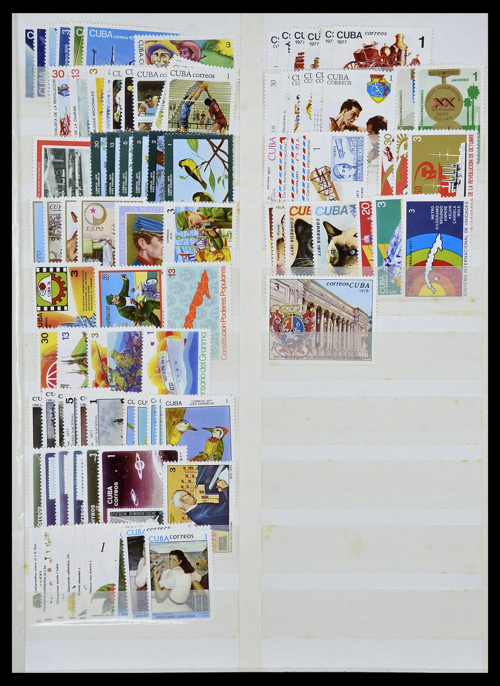 34136 007 - Postzegelverzameling 34136 Zuid Amerika.