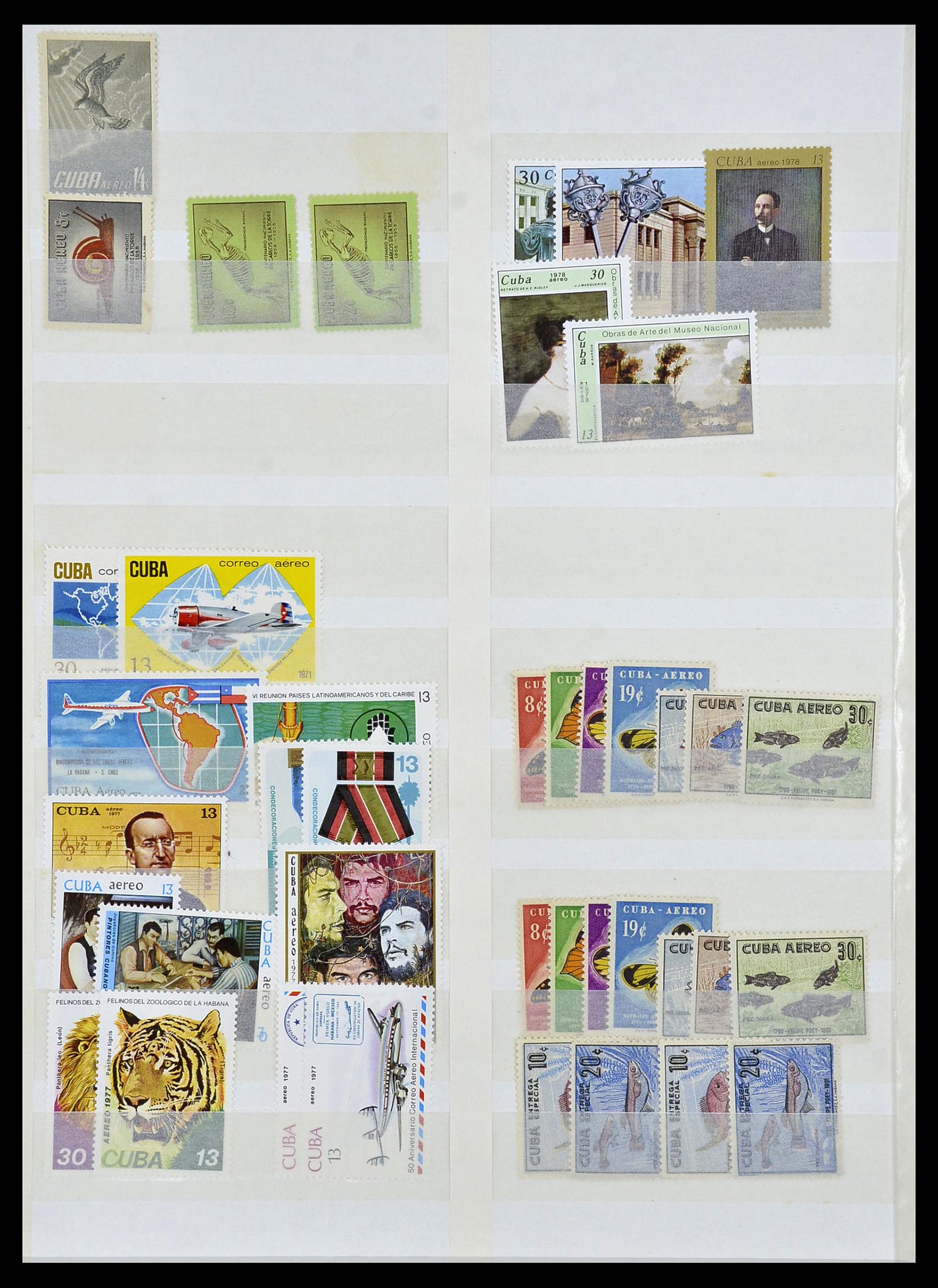 34136 008 - Postzegelverzameling 34136 Zuid Amerika.