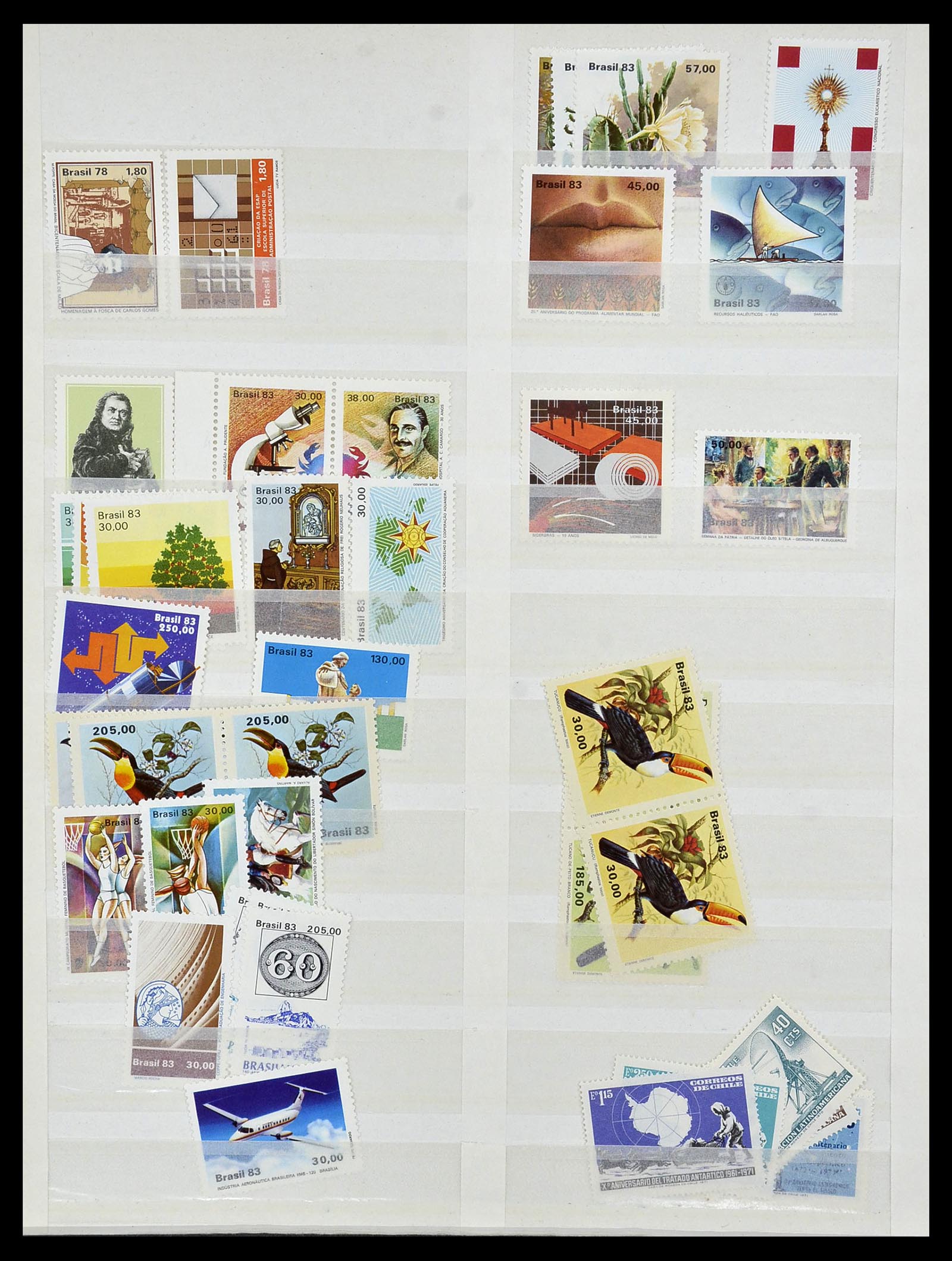 34136 038 - Postzegelverzameling 34136 Zuid Amerika.