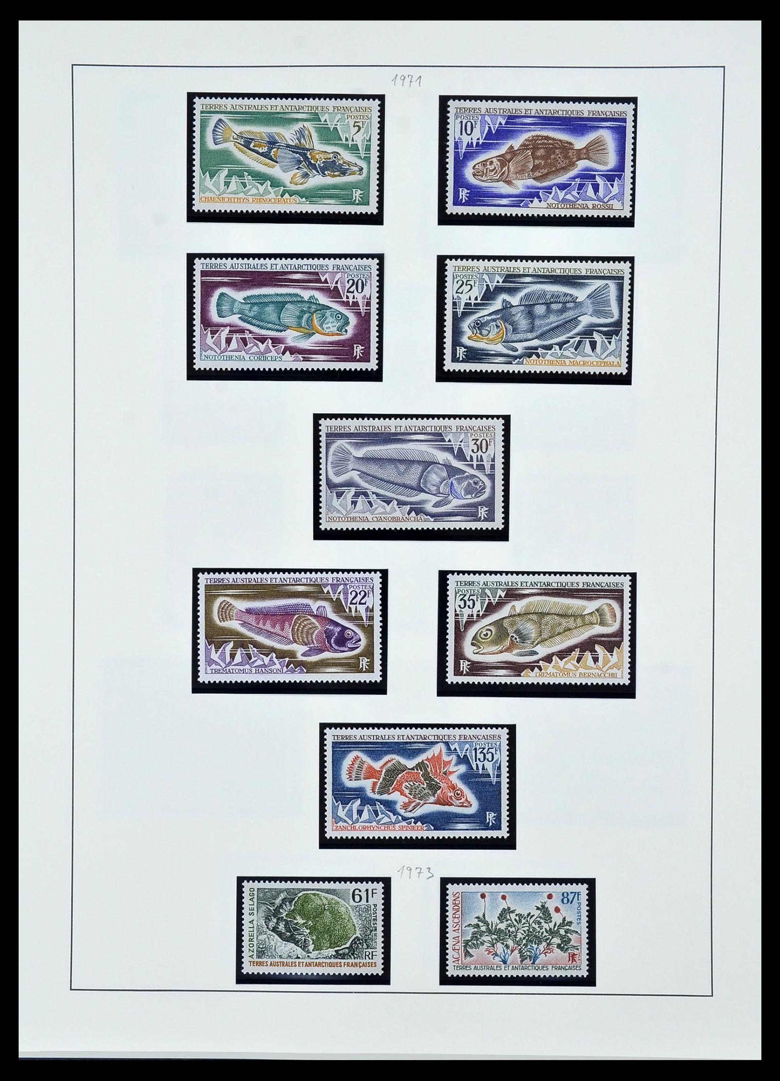 34163 006 - Postzegelverzameling 34163 Frans Antarctica 1955-1984.