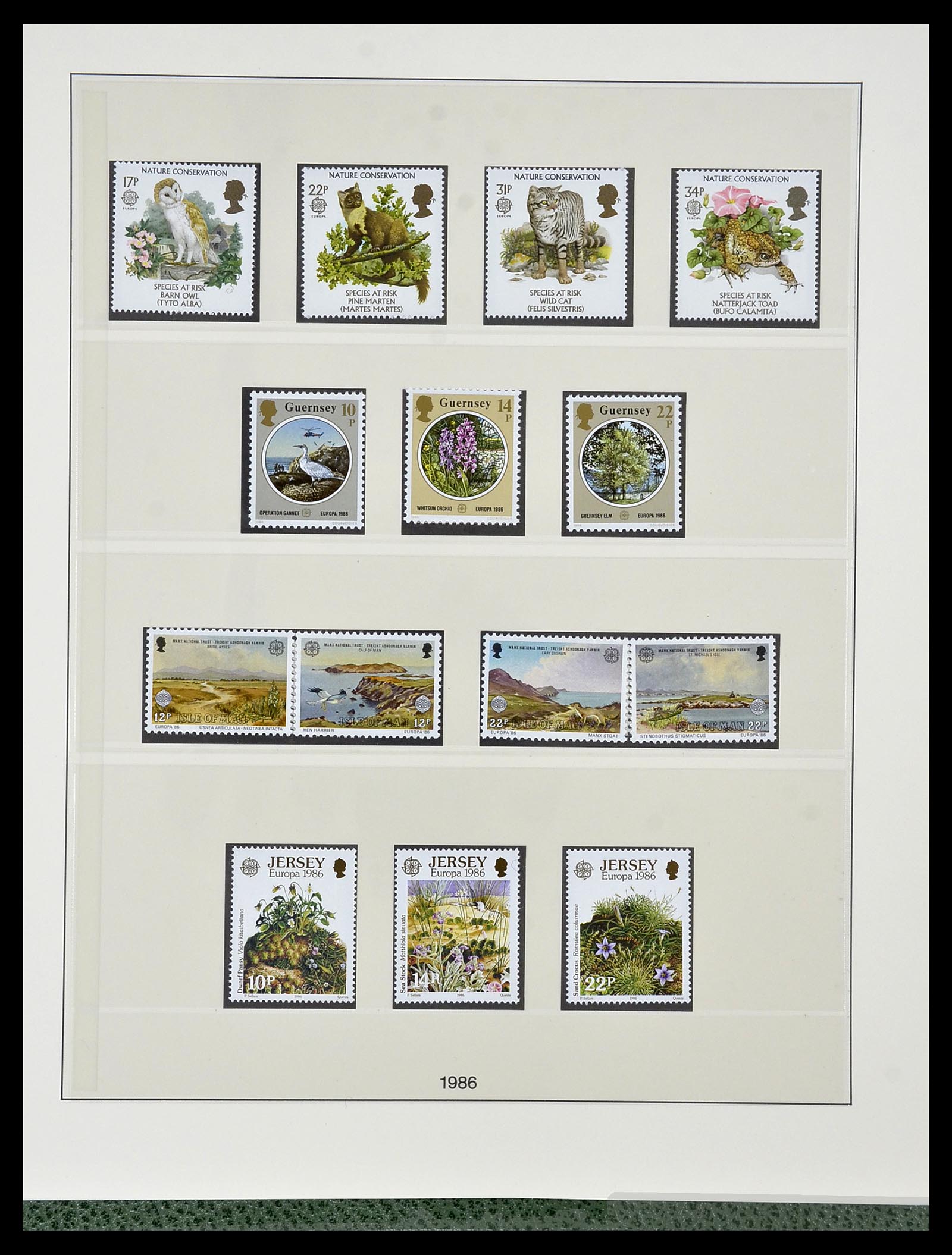 34174 137 - Postzegelverzameling 34174 Europa CEPT 1956-1999.