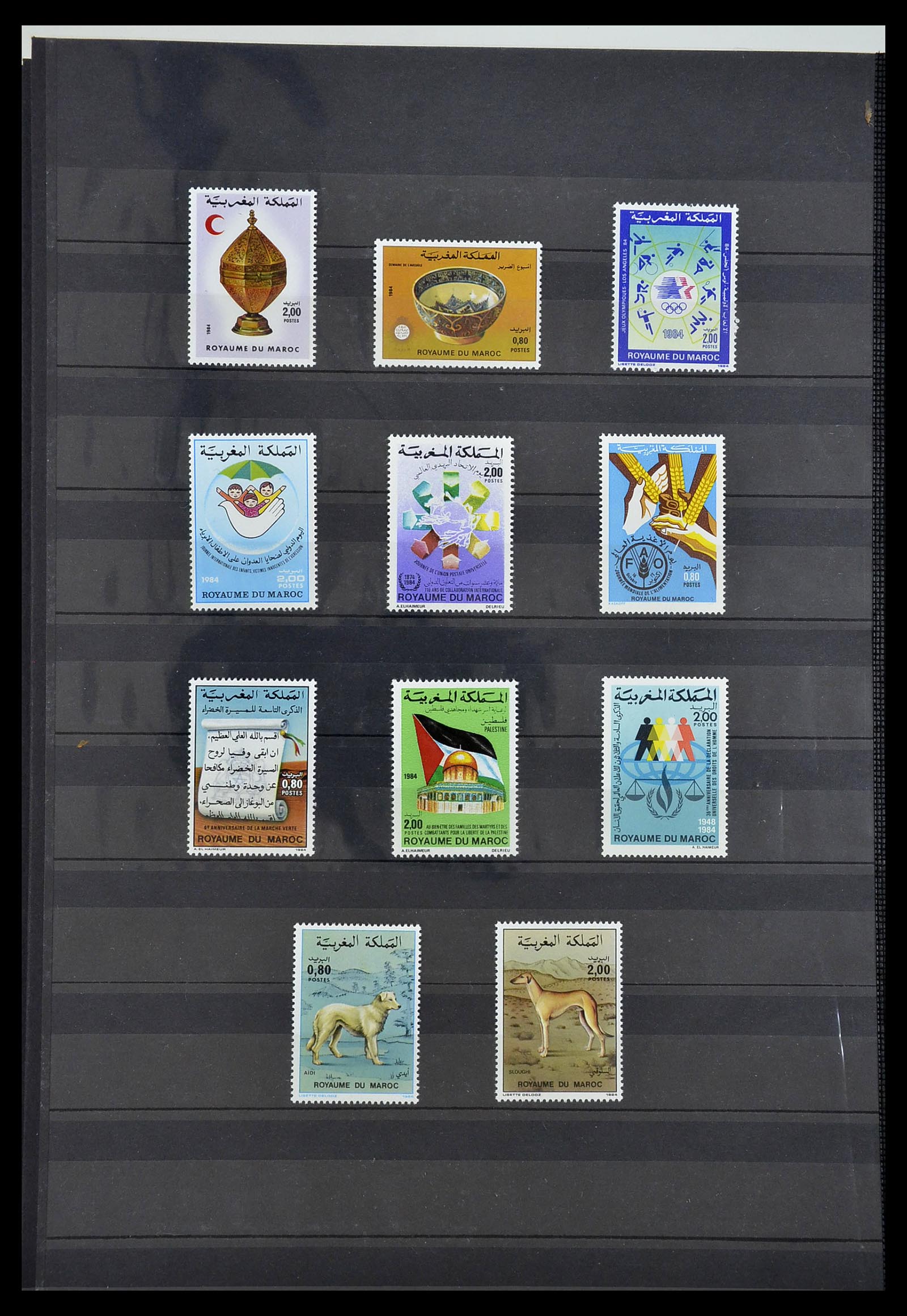 34190 0011 - Postzegelverzameling 34190 Franse koloniën in Afrika 1885-1998.
