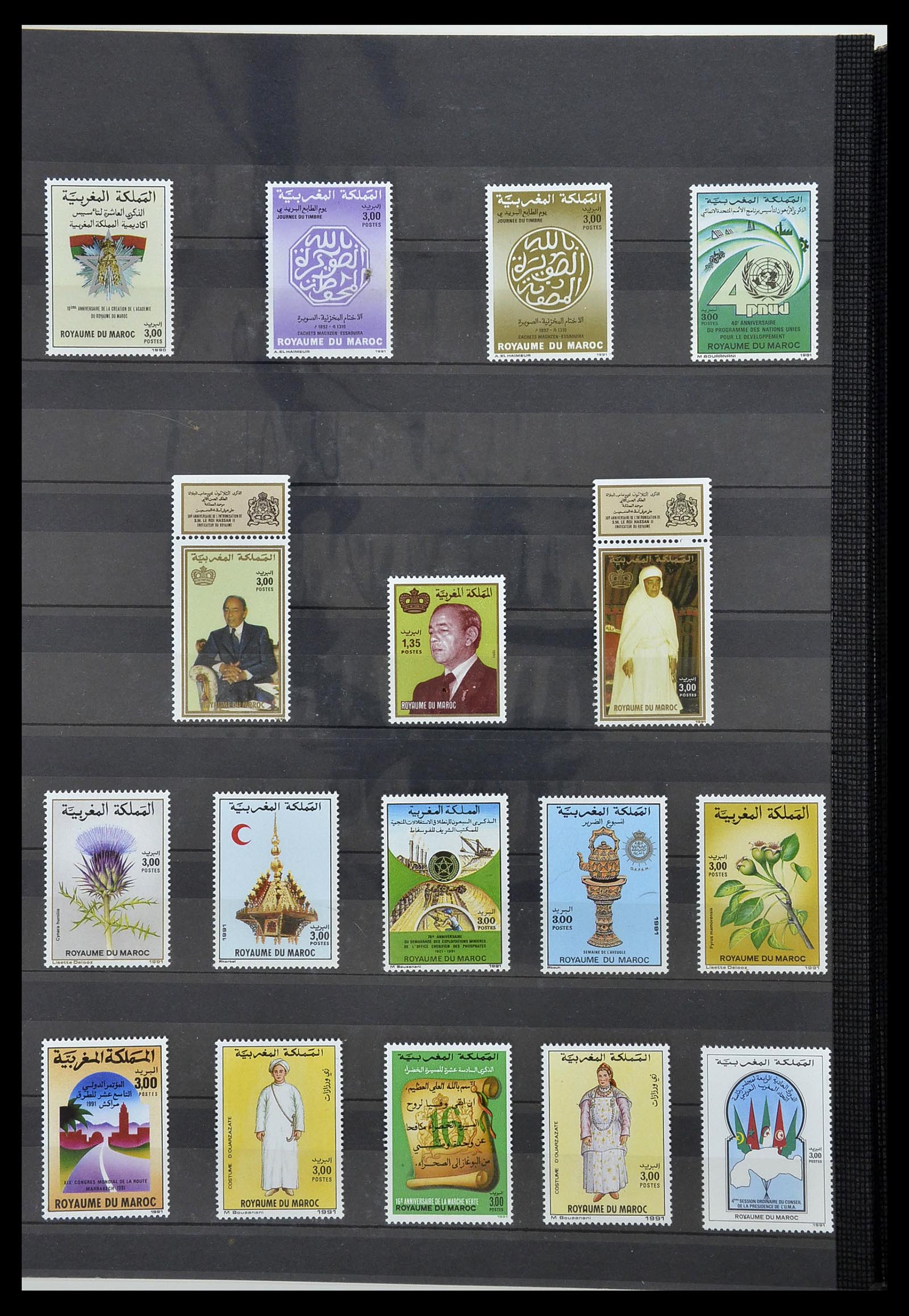 34190 0019 - Postzegelverzameling 34190 Franse koloniën in Afrika 1885-1998.