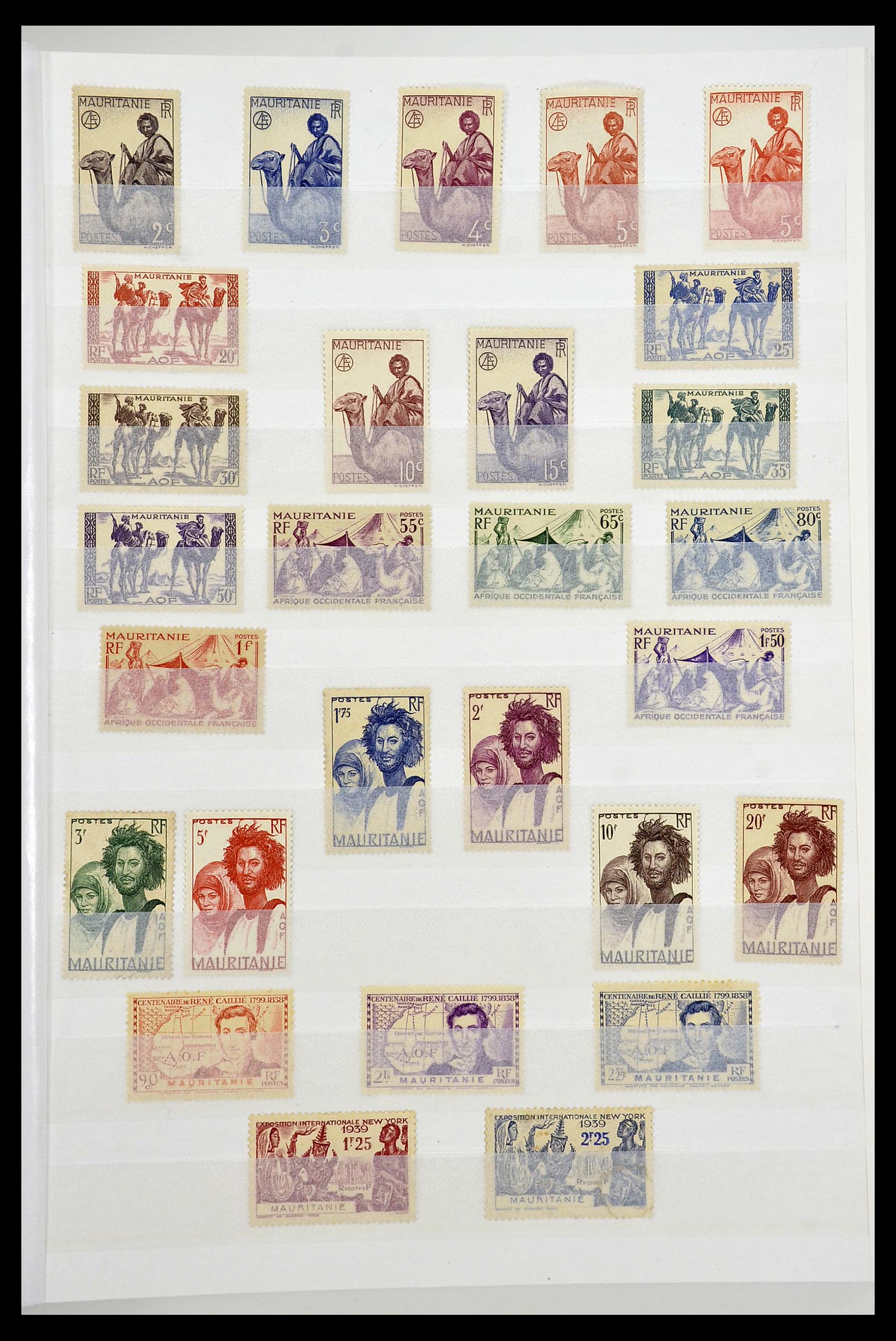 34190 0050 - Postzegelverzameling 34190 Franse koloniën in Afrika 1885-1998.