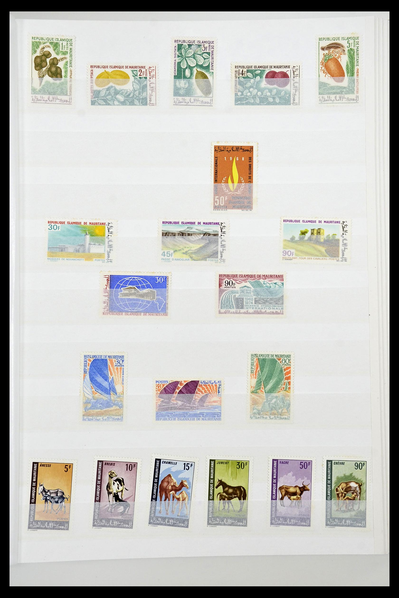 34190 0060 - Postzegelverzameling 34190 Franse koloniën in Afrika 1885-1998.
