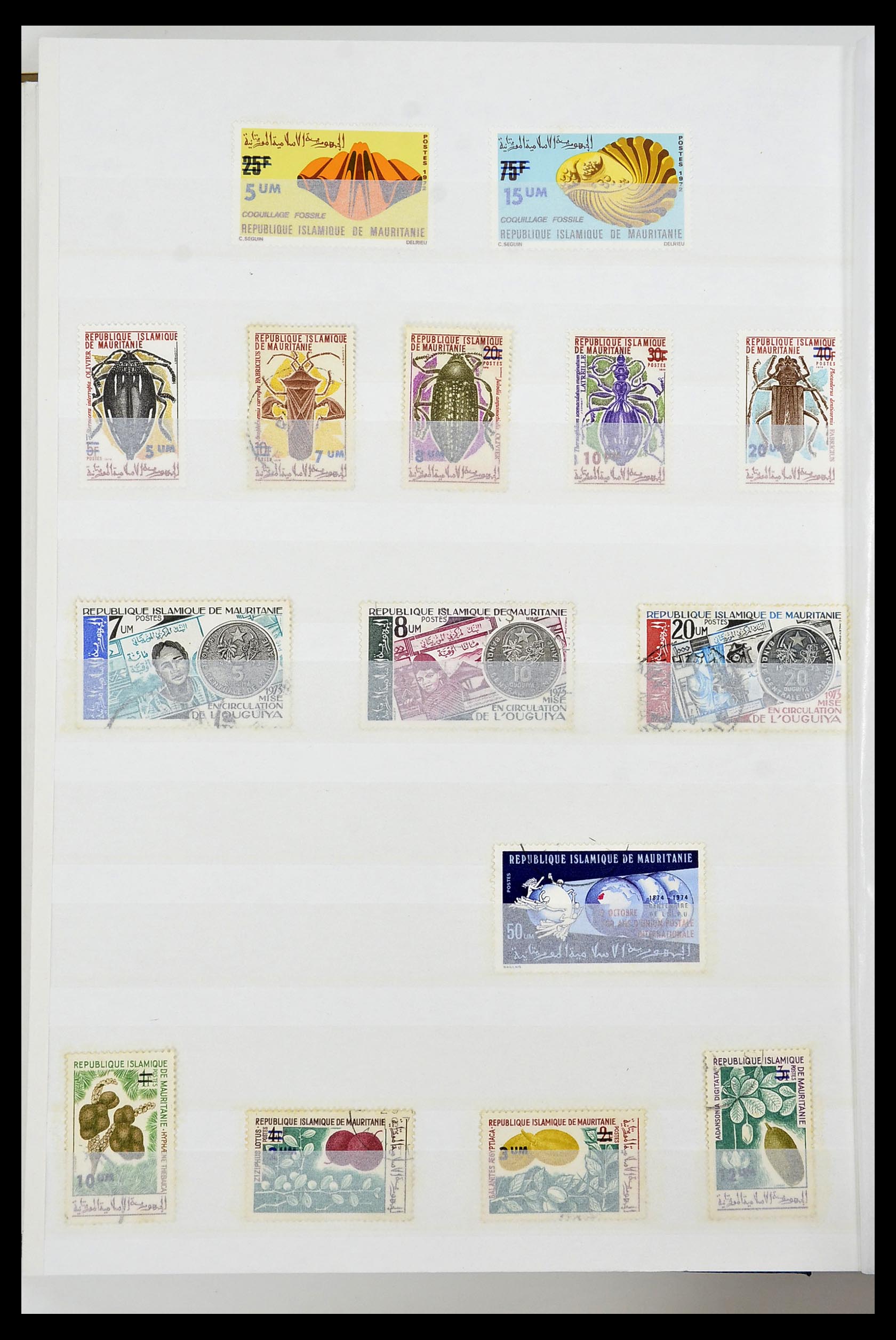 34190 0063 - Postzegelverzameling 34190 Franse koloniën in Afrika 1885-1998.
