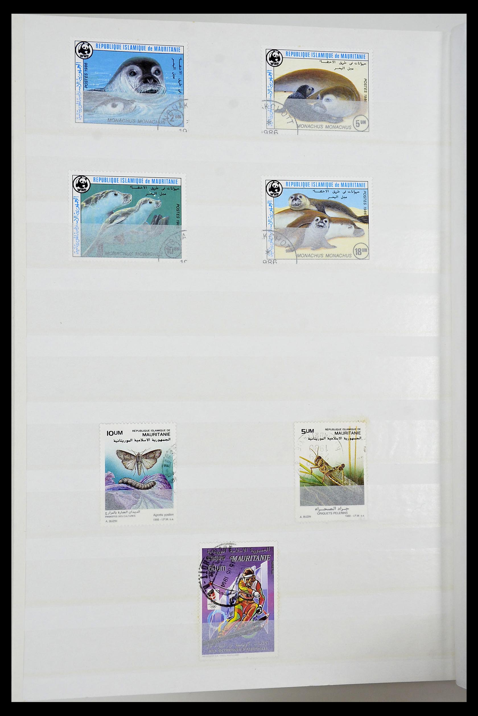 34190 0079 - Postzegelverzameling 34190 Franse koloniën in Afrika 1885-1998.