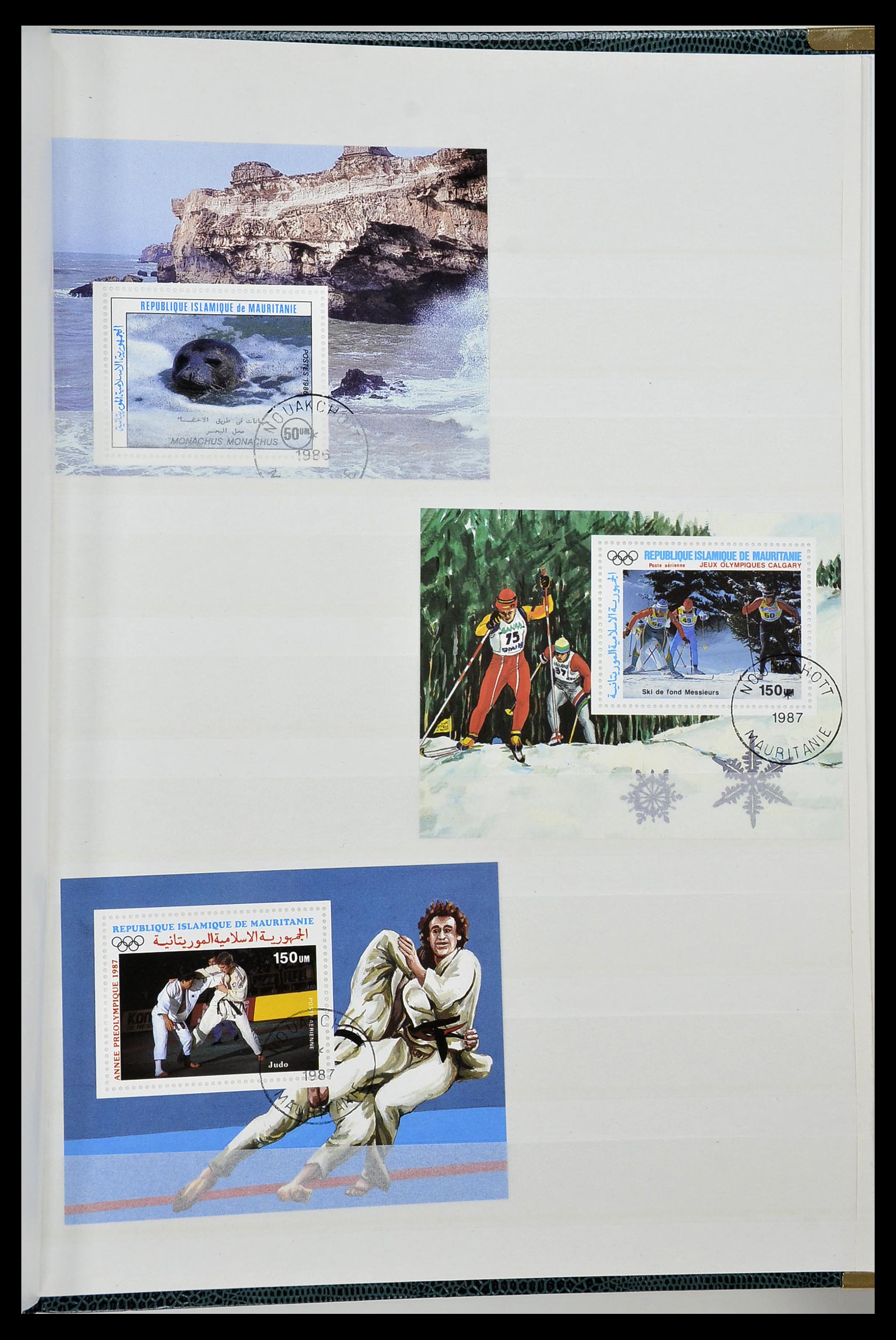 34190 0102 - Postzegelverzameling 34190 Franse koloniën in Afrika 1885-1998.