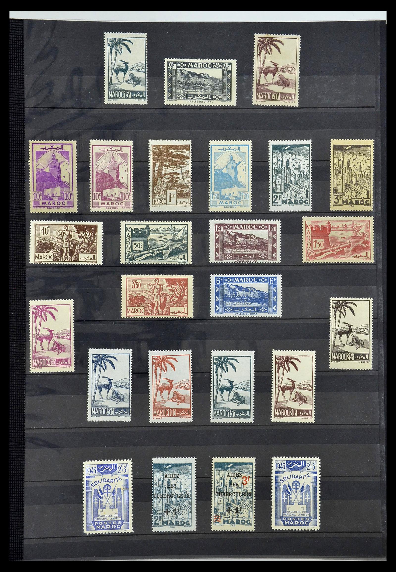 34190 1029 - Postzegelverzameling 34190 Franse koloniën in Afrika 1885-1998.