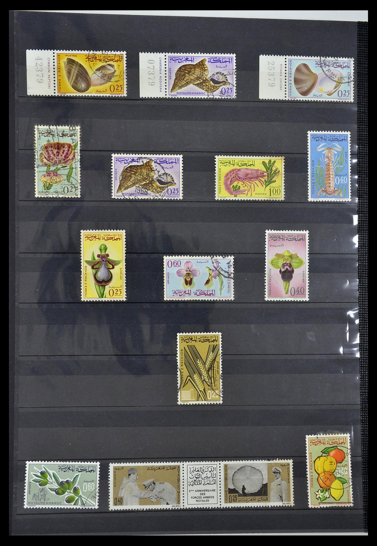 34190 1045 - Postzegelverzameling 34190 Franse koloniën in Afrika 1885-1998.
