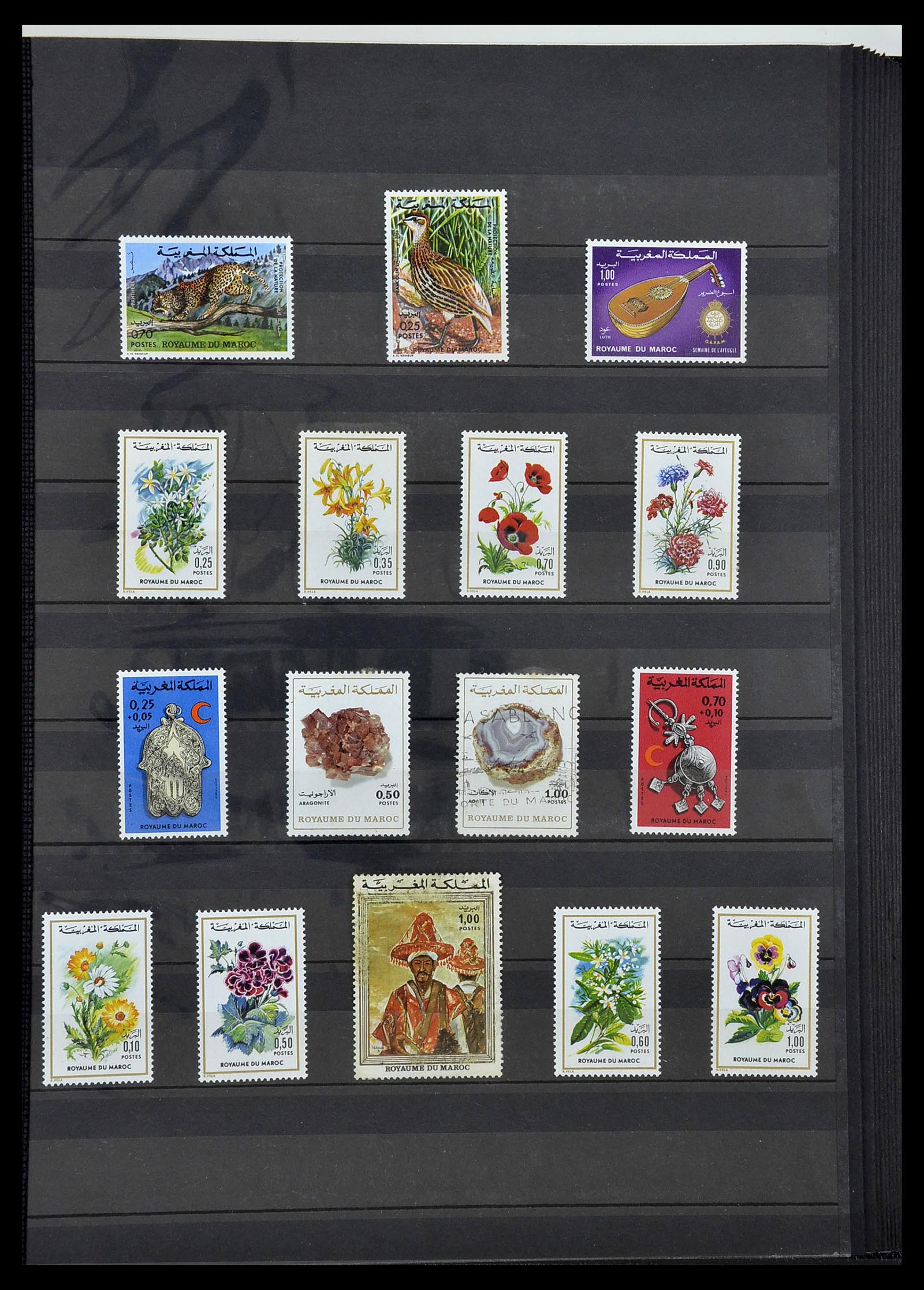 34190 1054 - Postzegelverzameling 34190 Franse koloniën in Afrika 1885-1998.