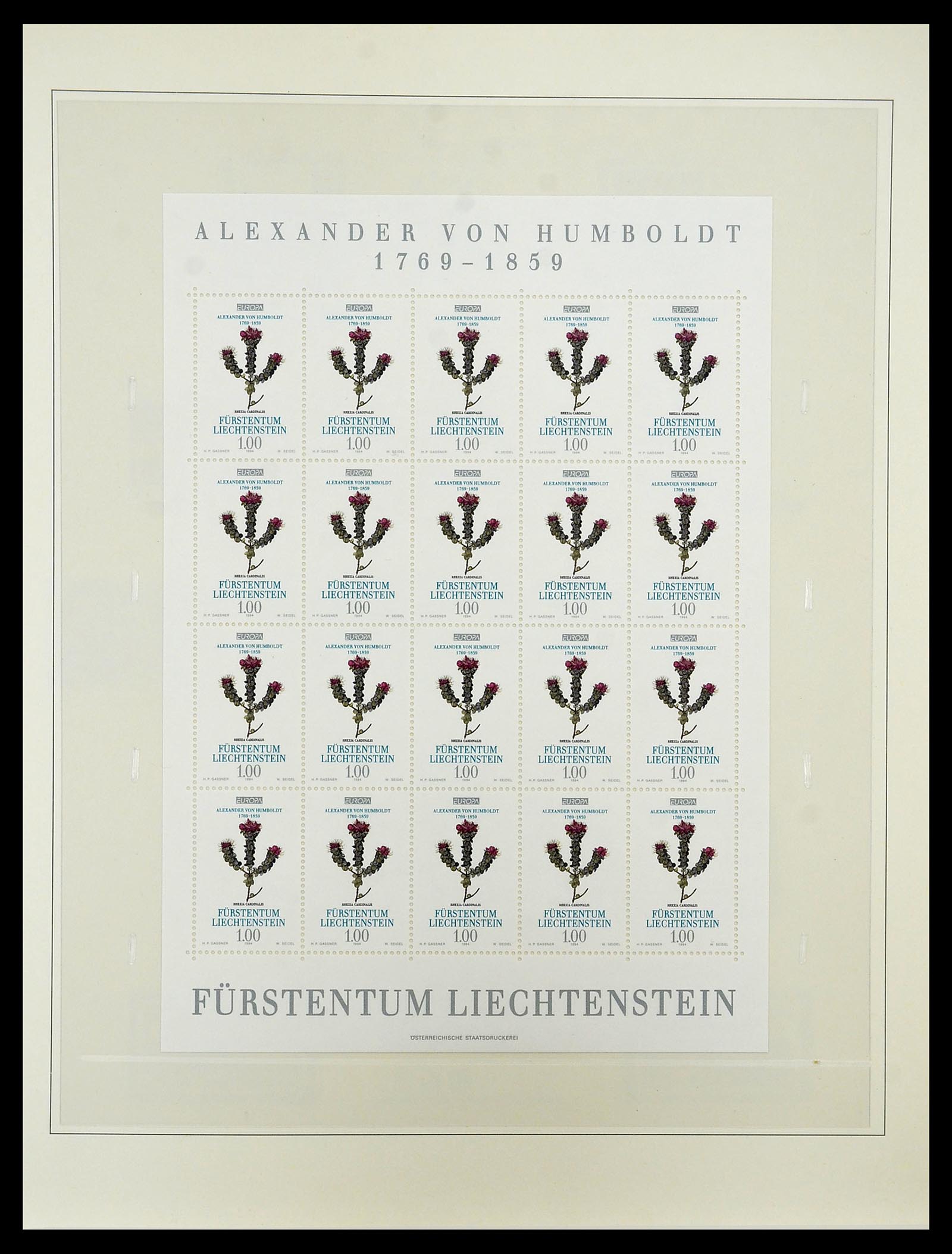 34216 338 - Postzegelverzameling 34216 Europa CEPT 1956-2003.
