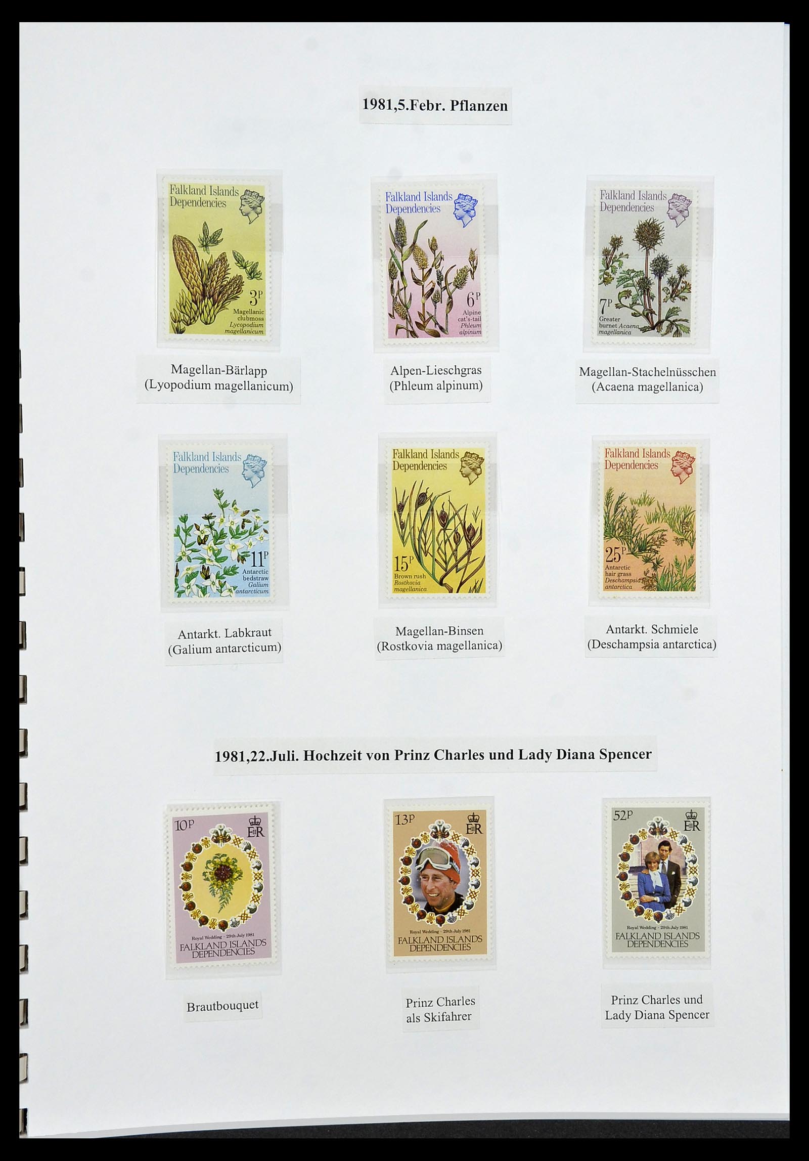 34222 043 - Stamp collection 34222 Falkland Dependencies 1891-1987.