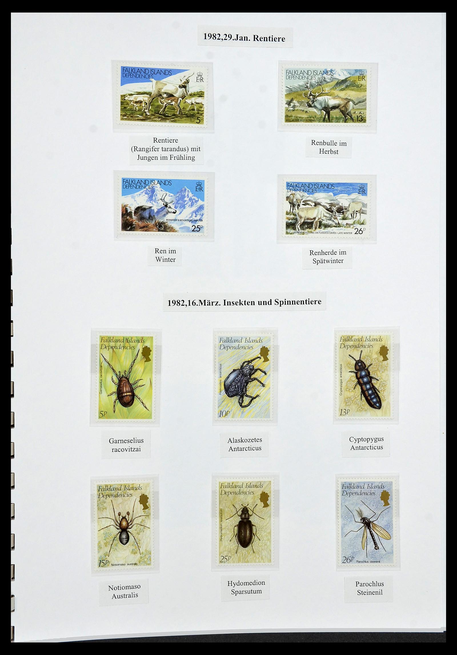 34222 044 - Stamp collection 34222 Falkland Dependencies 1891-1987.