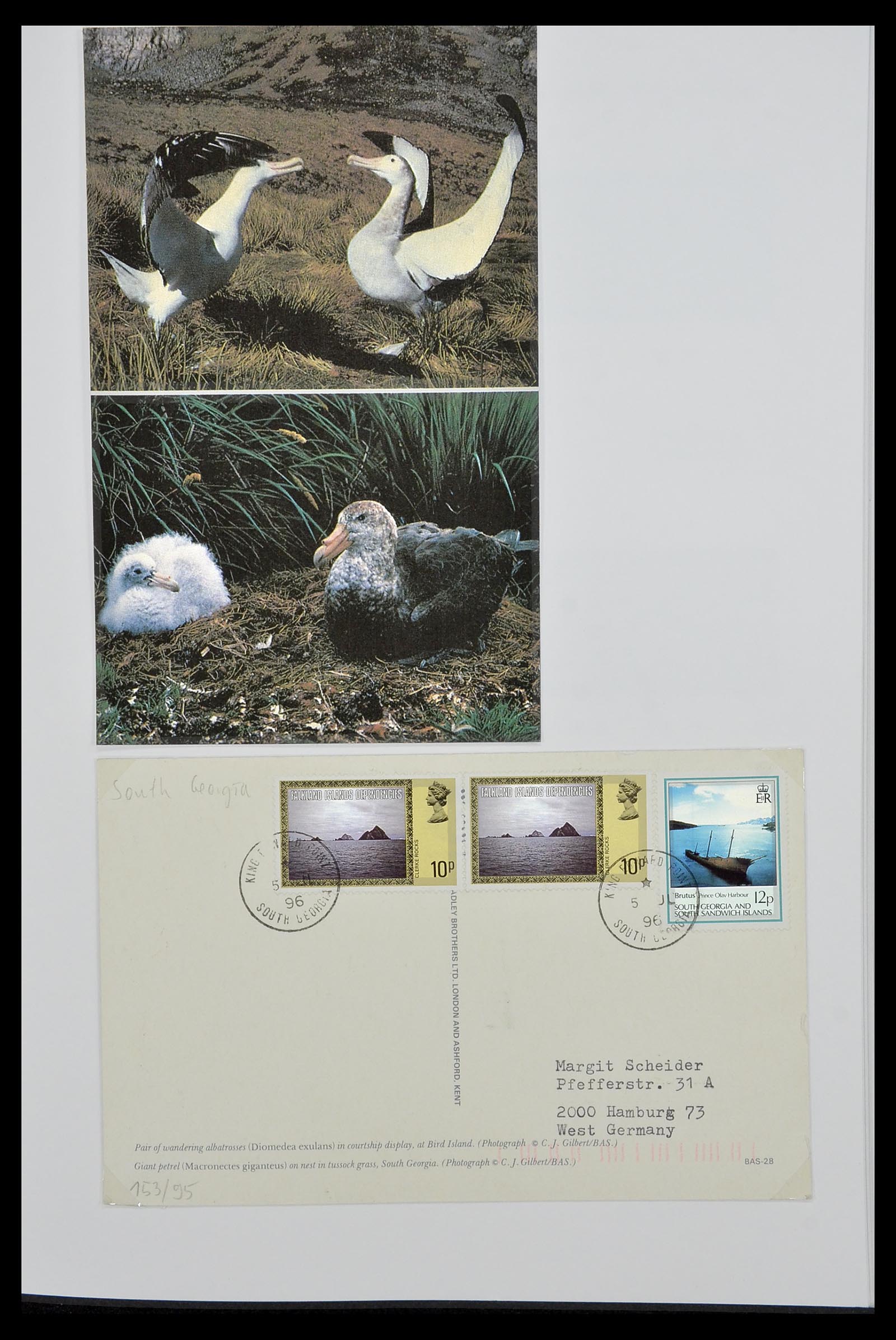 34222 065 - Stamp collection 34222 Falkland Dependencies 1891-1987.