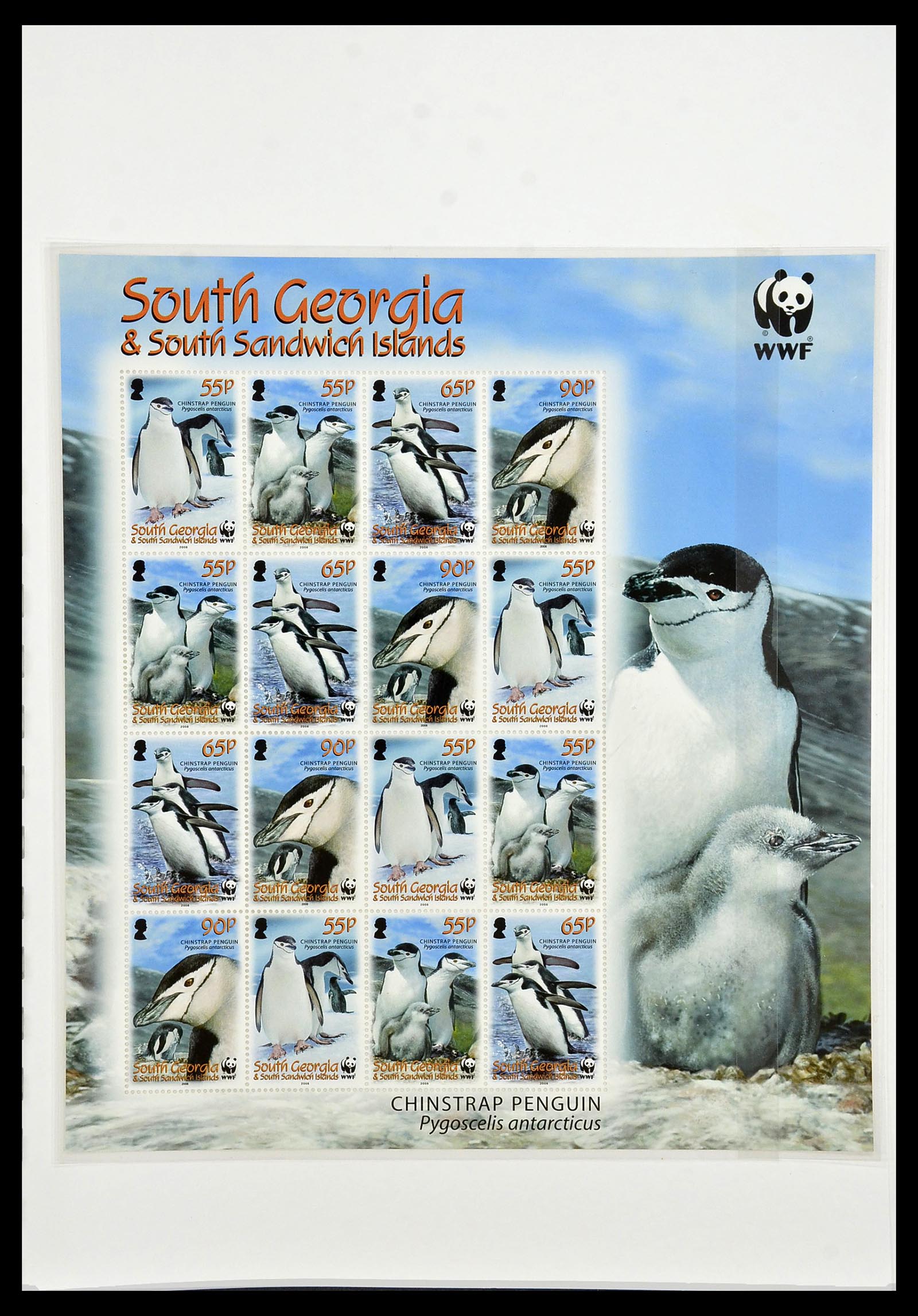 34222 165 - Stamp collection 34222 Falkland Dependencies 1891-1987.