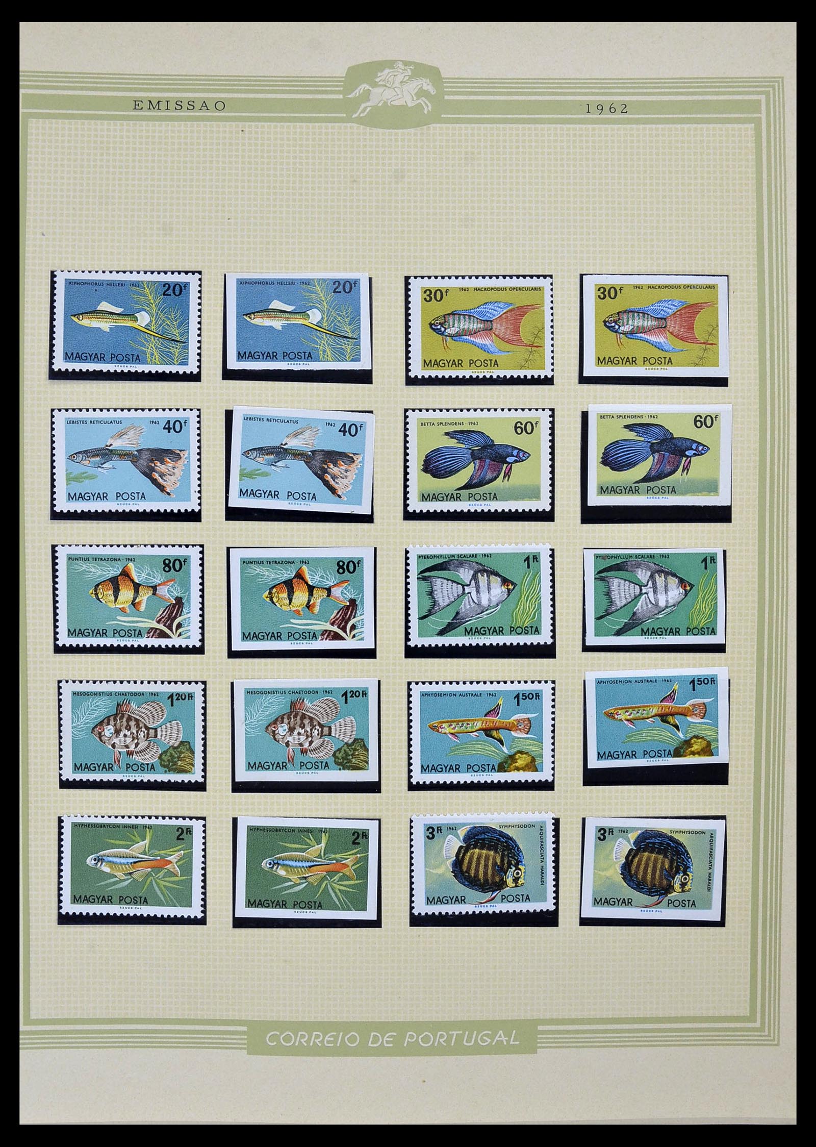34230 069 - Postzegelverzameling 34230 Hongarije ONGETAND 1958-1970.