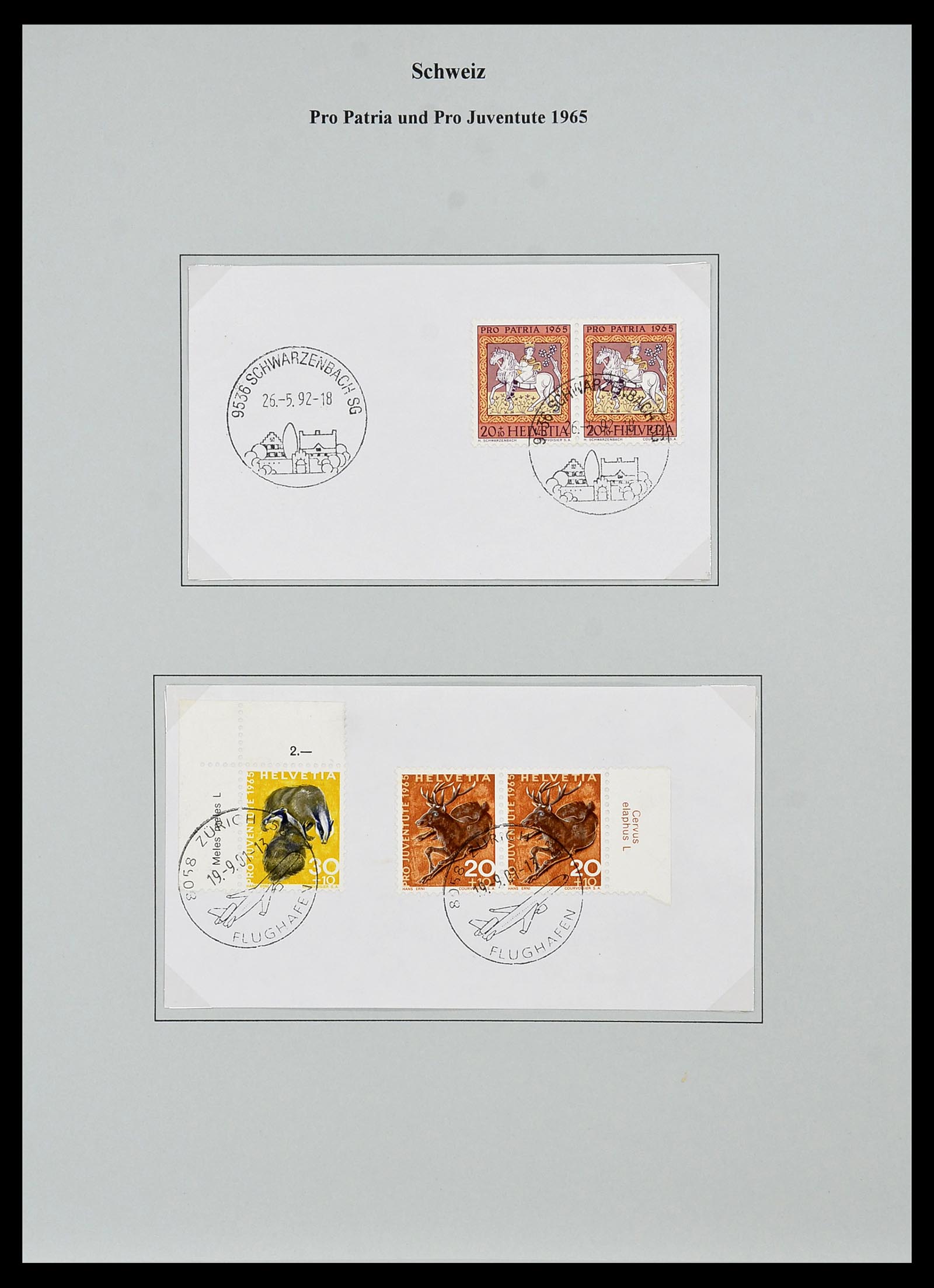 34244 446 - Postzegelverzameling 34244 Zwitserland 1822(!)-1989.