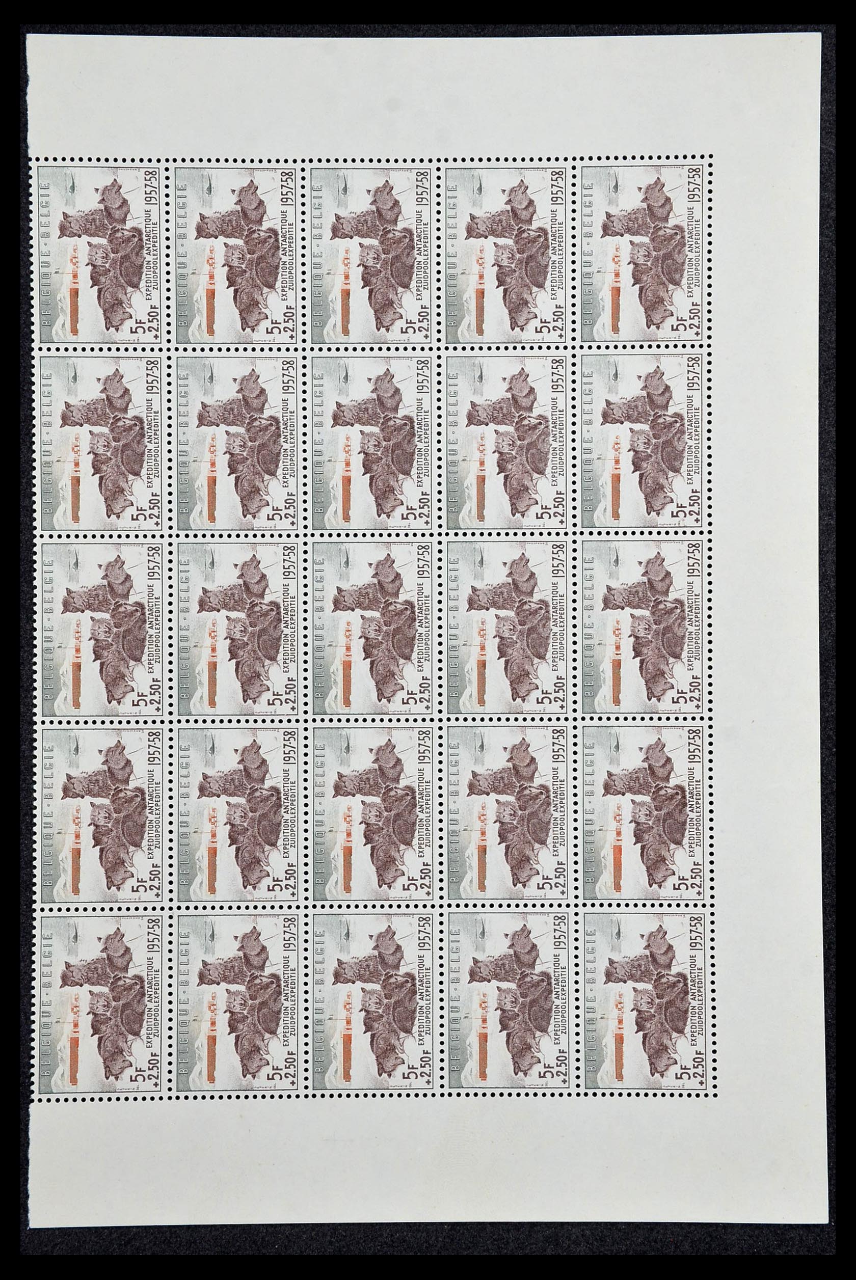 34246 001 - Postzegelverzameling 34246 België 1957-1963.