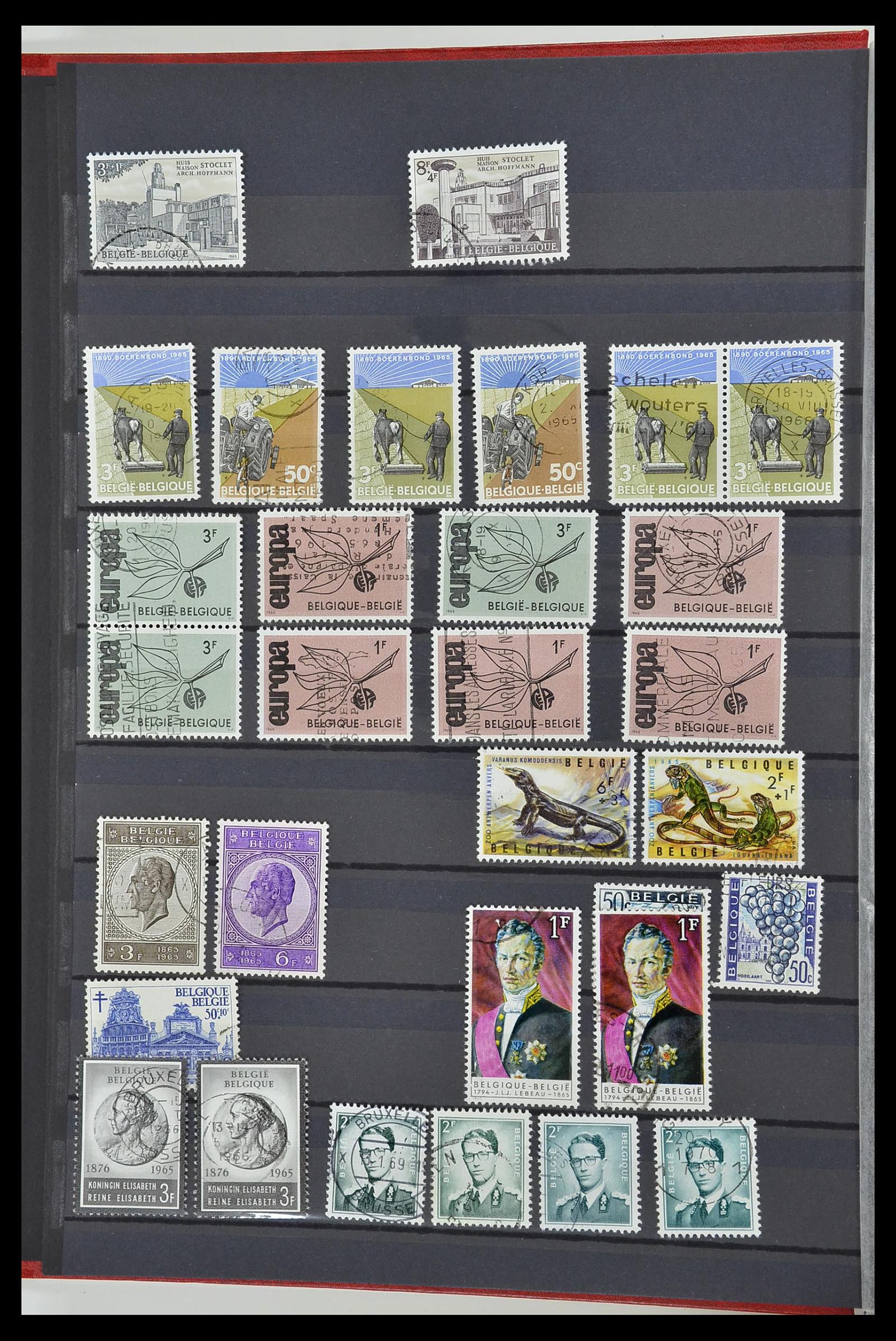 34252 038 - Postzegelverzameling 34252 België 1849-2000.