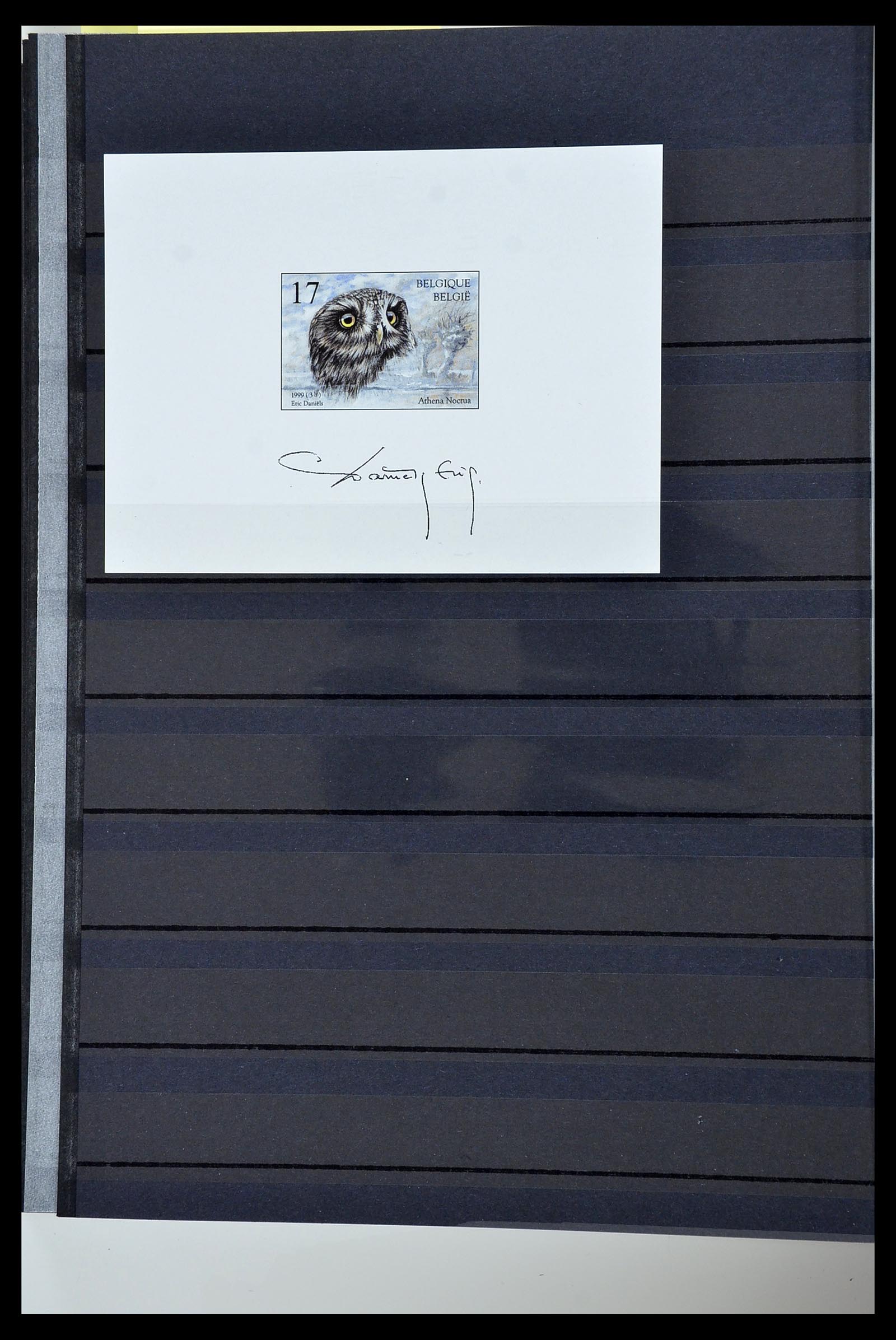 34252 169 - Postzegelverzameling 34252 België 1849-2000.