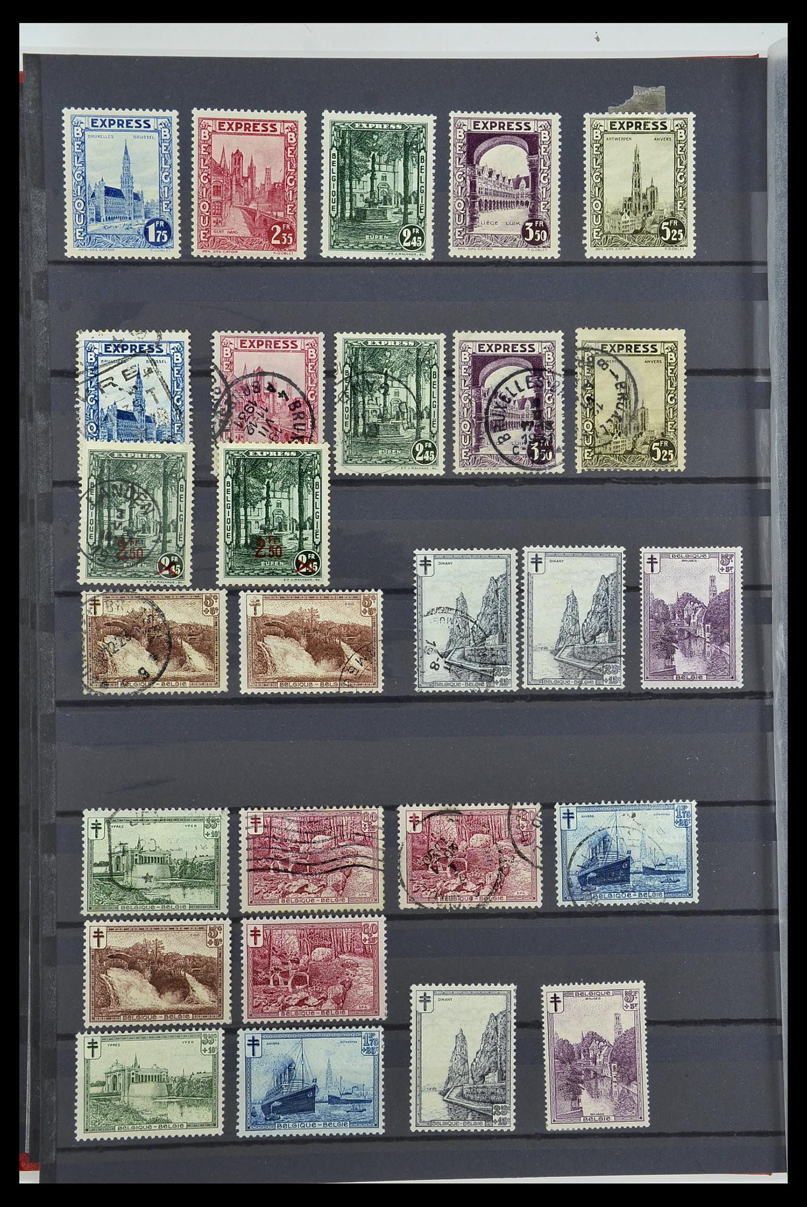 34252 205 - Postzegelverzameling 34252 België 1849-2000.