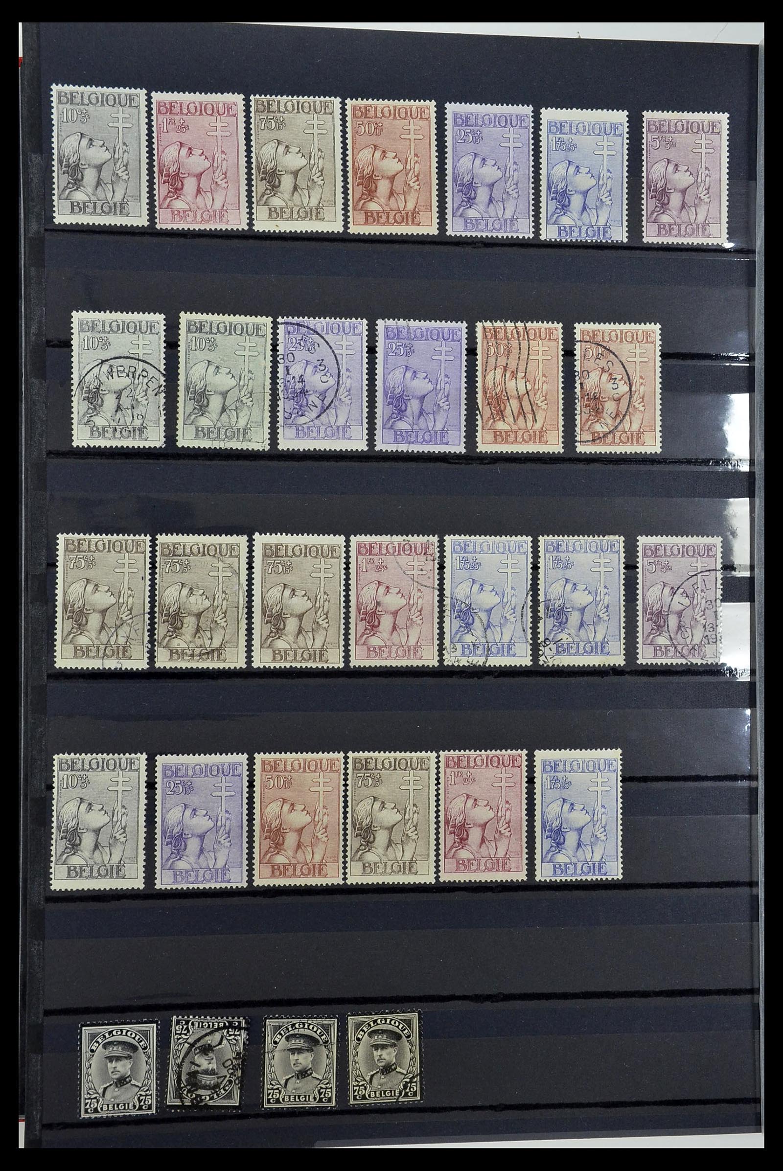 34252 217 - Postzegelverzameling 34252 België 1849-2000.