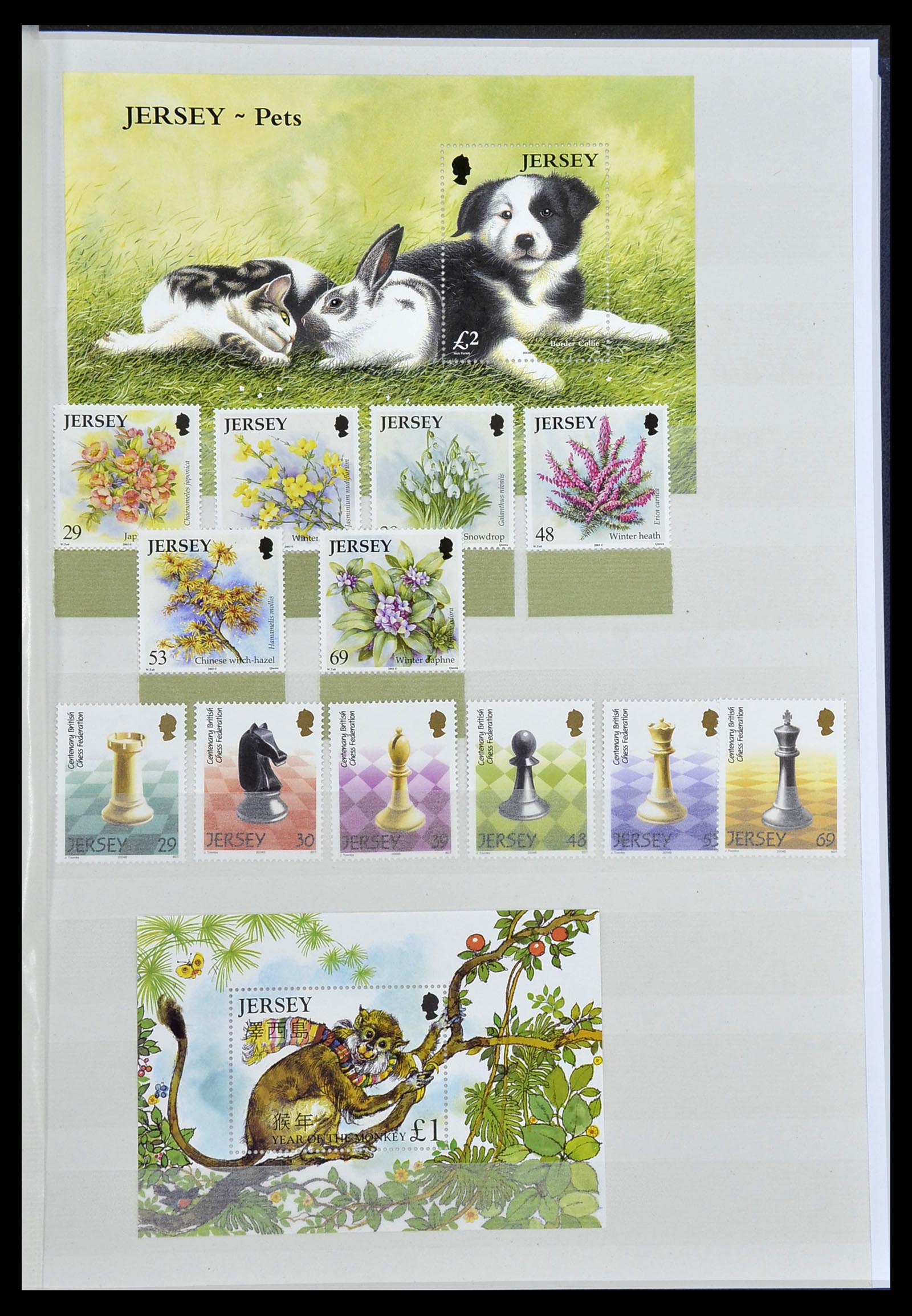 34276 097 - Postzegelverzameling 34276 Kanaaleilanden 1969-2006.