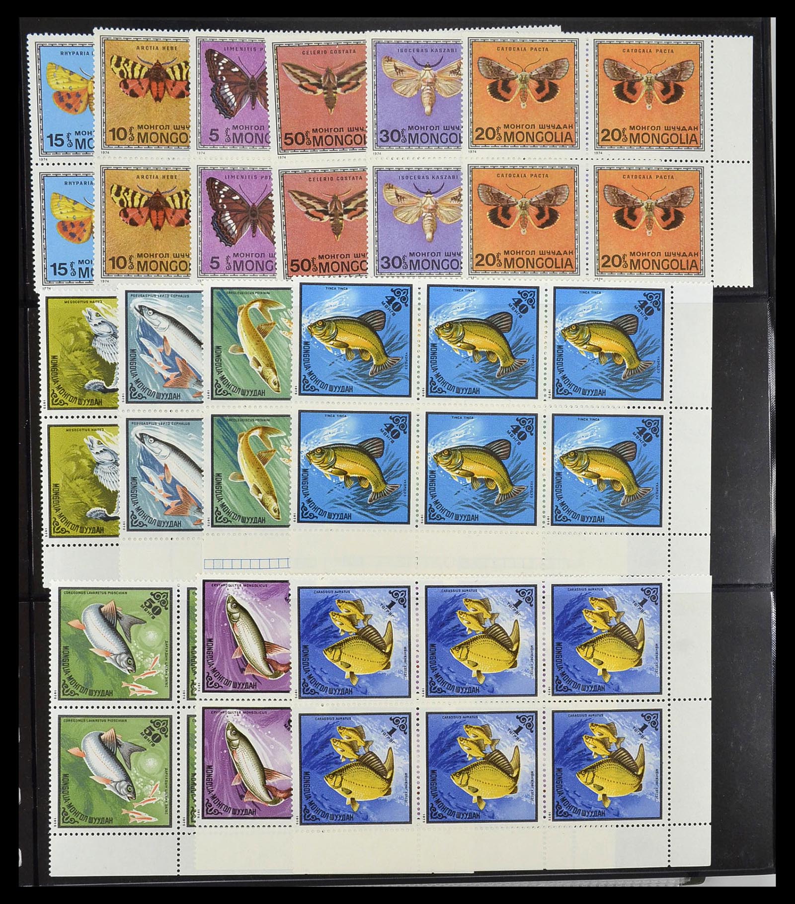 34290 013 - Postzegelverzameling 34290 Motief dieren postfris 1926-2005.