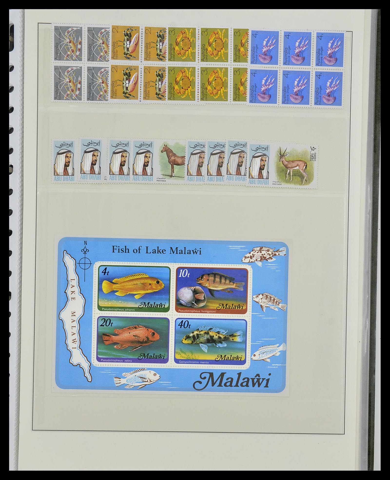 34290 017 - Postzegelverzameling 34290 Motief dieren postfris 1926-2005.